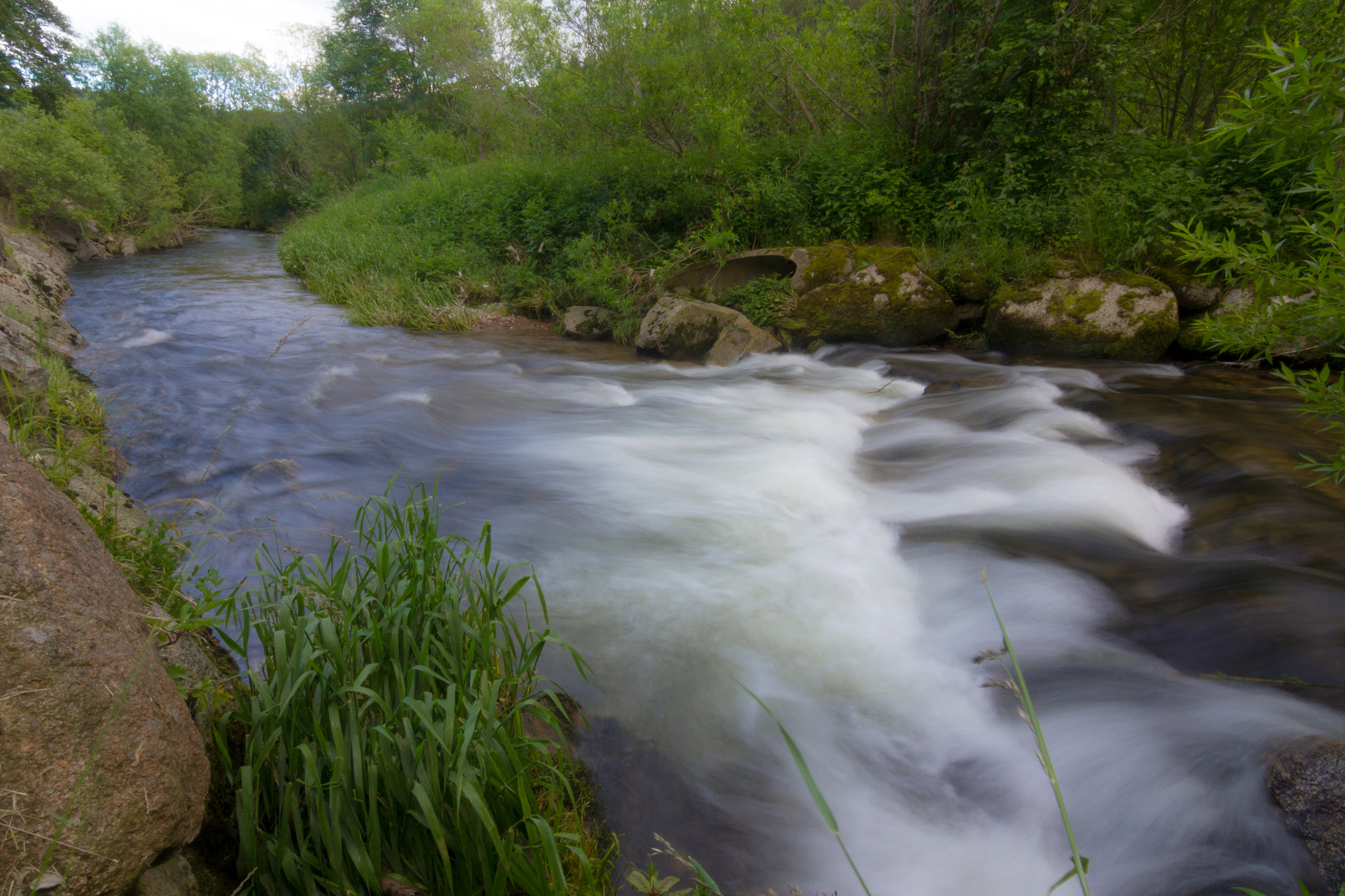 Canon EOS 550D (EOS Rebel T2i / EOS Kiss X4) sample photo. Down stream photography
