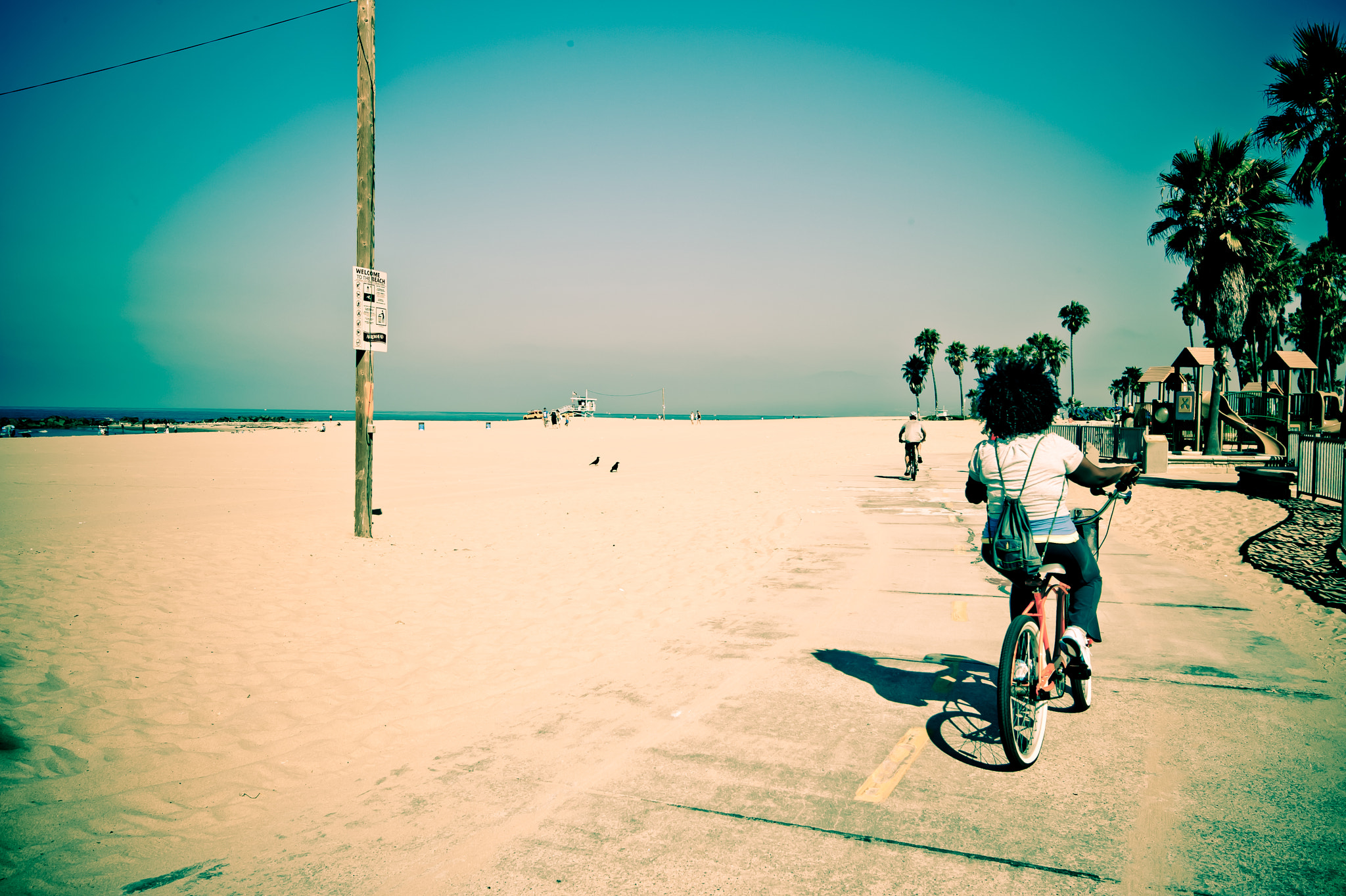 Nikon D3 sample photo. Beach cruising at venice beach photography