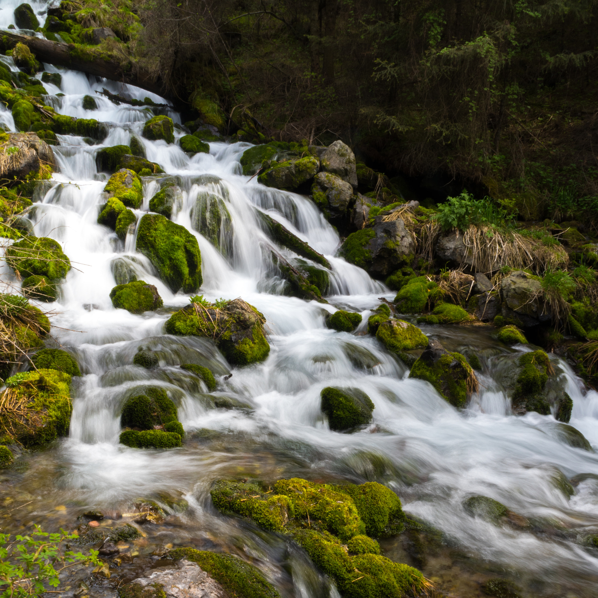 Olympus OM-D E-M5 II sample photo. 小瀑布 (small waterfalls) photography