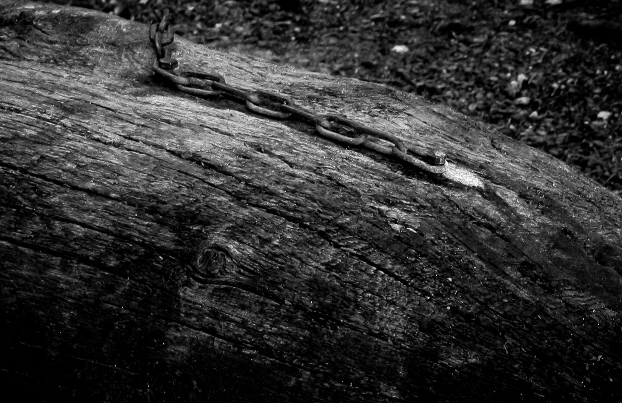 Canon EF-S 18-55mm F3.5-5.6 sample photo. Old wood photography