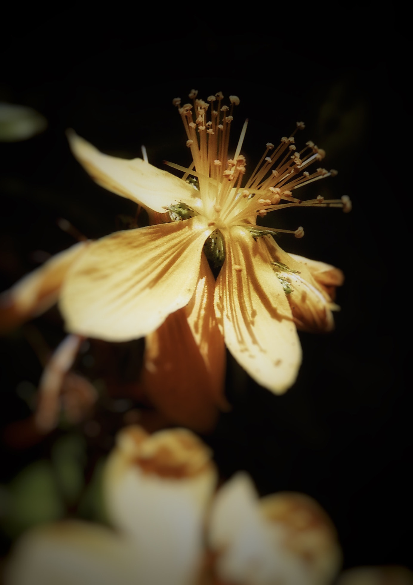 Kodak EASYSHARE Z1015 IS DIGITAL CAMERA sample photo. Essentially photography