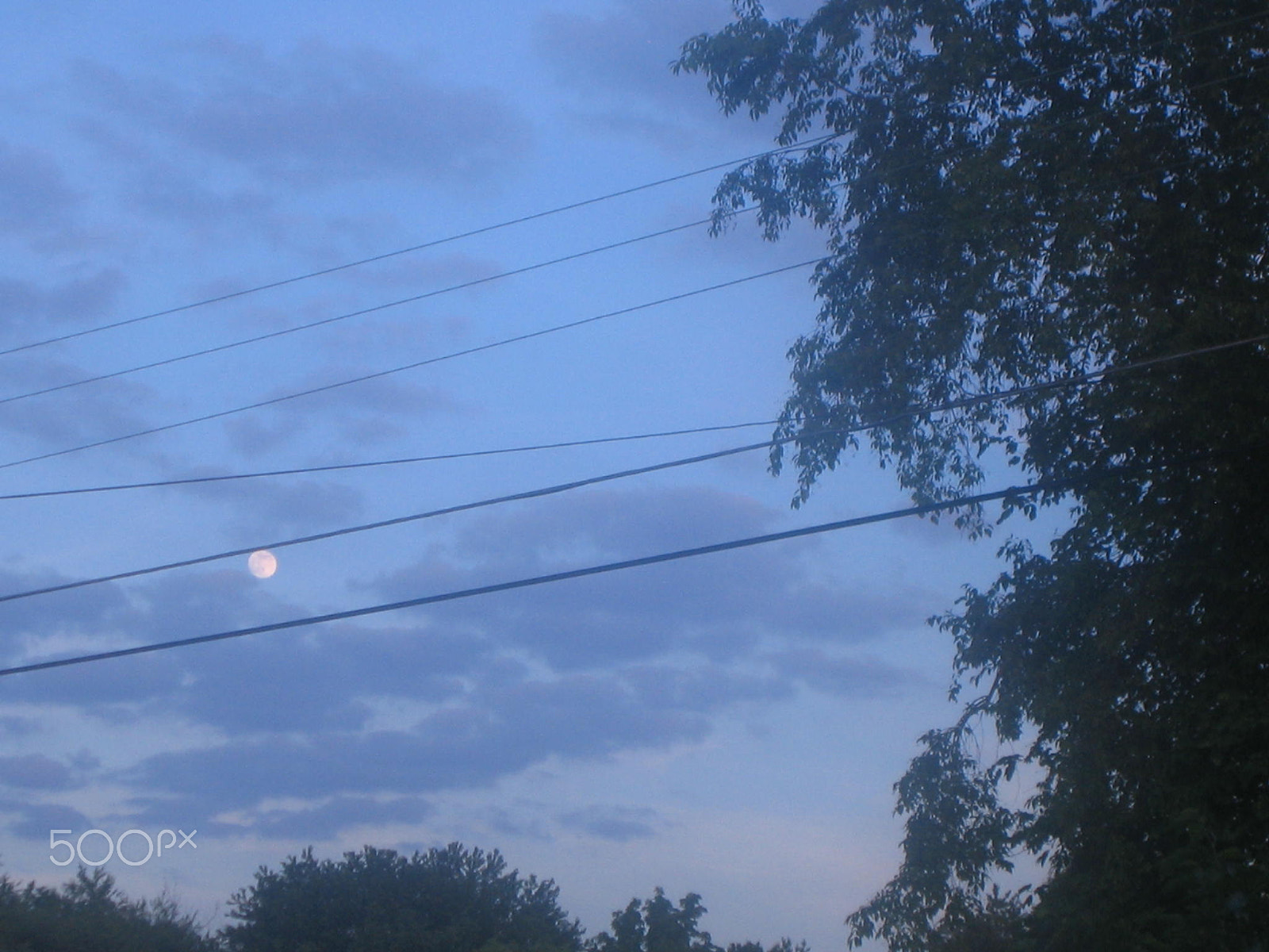 Canon POWERSHOT SD110 sample photo. Misty lunar sunset photography