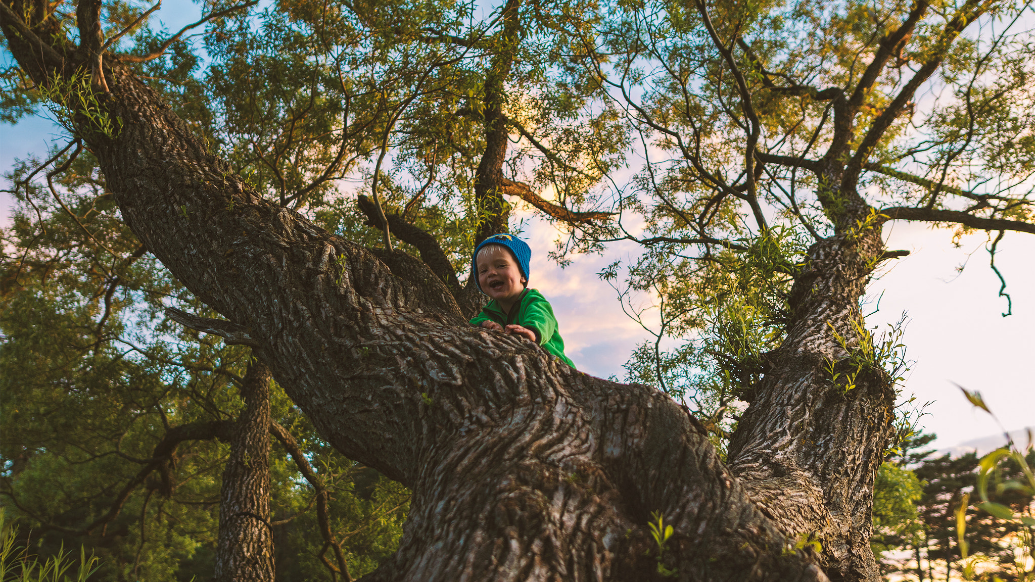 Sigma 20mm F1.4 DG HSM Art sample photo. Mikkel climbing a old tree photography
