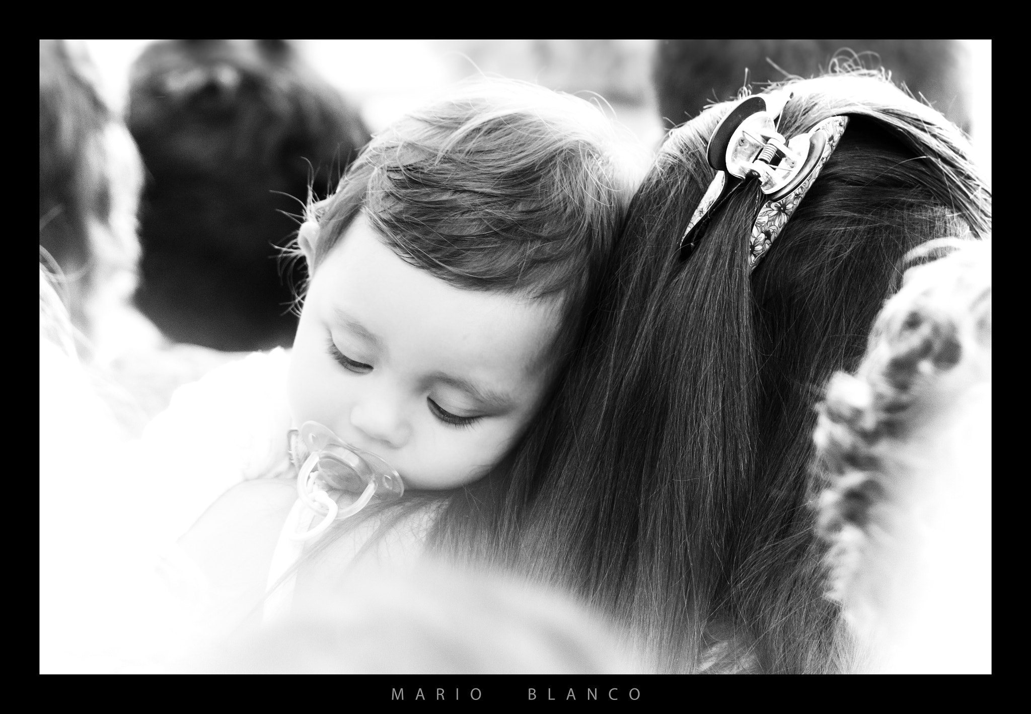 Tamron SP 150-600mm F5-6.3 Di VC USD sample photo. Endearment photography