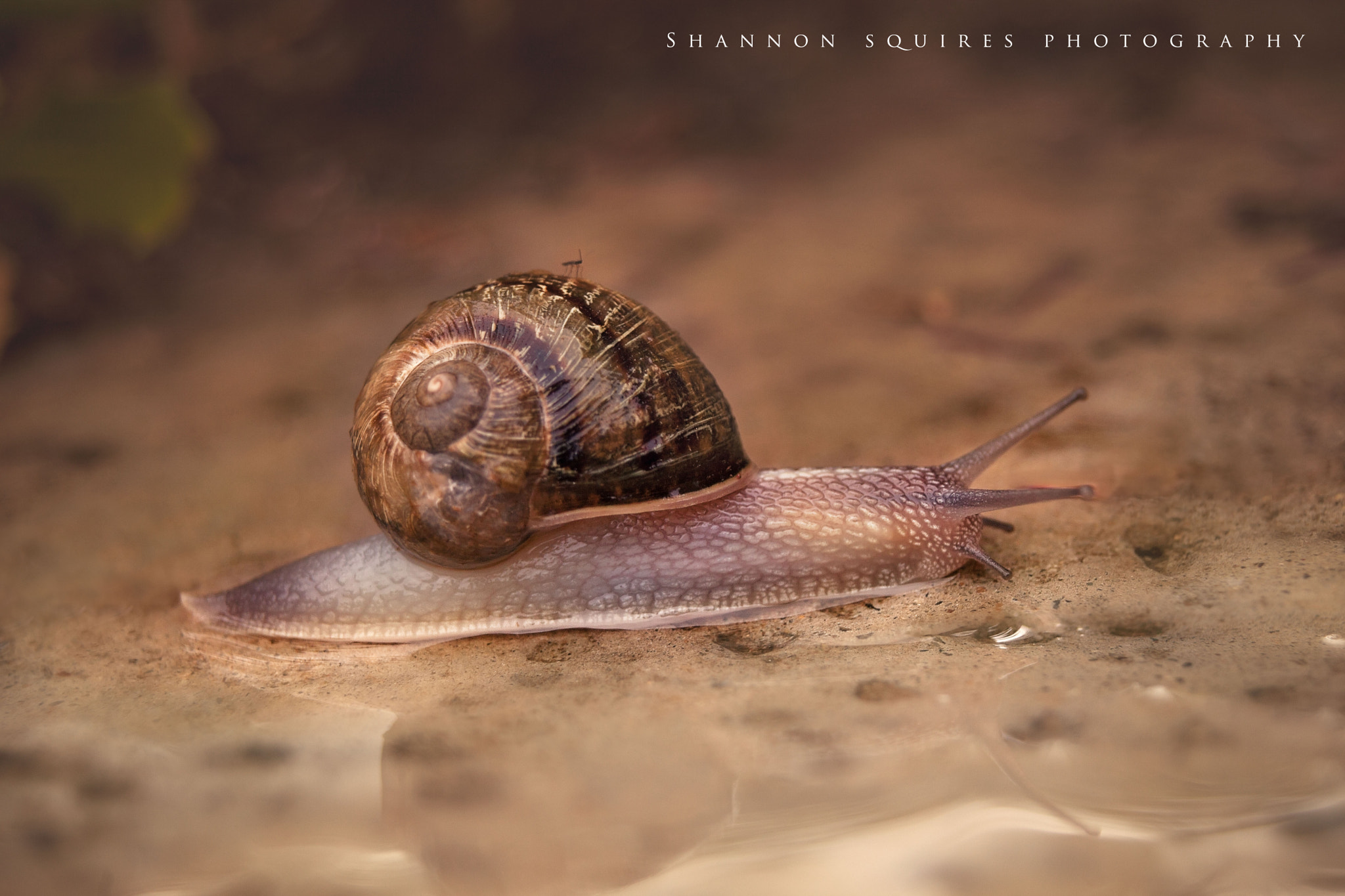 Sigma 28-80mm f/3.5-5.6 II Macro sample photo. Hitchin a ride photography