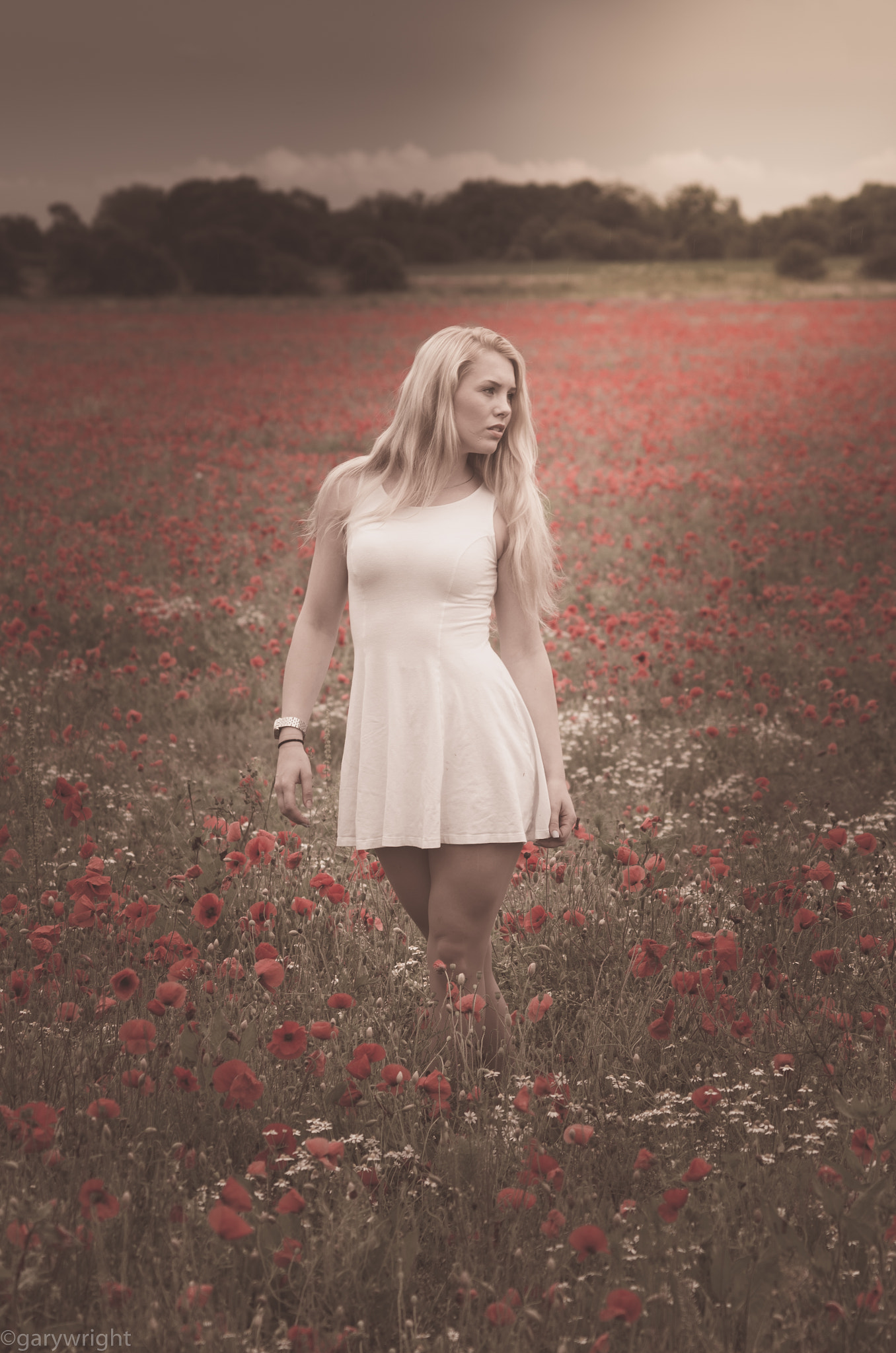 AF Zoom-Nikkor 70-210mm f/4 sample photo. Poppies with lauren. photography