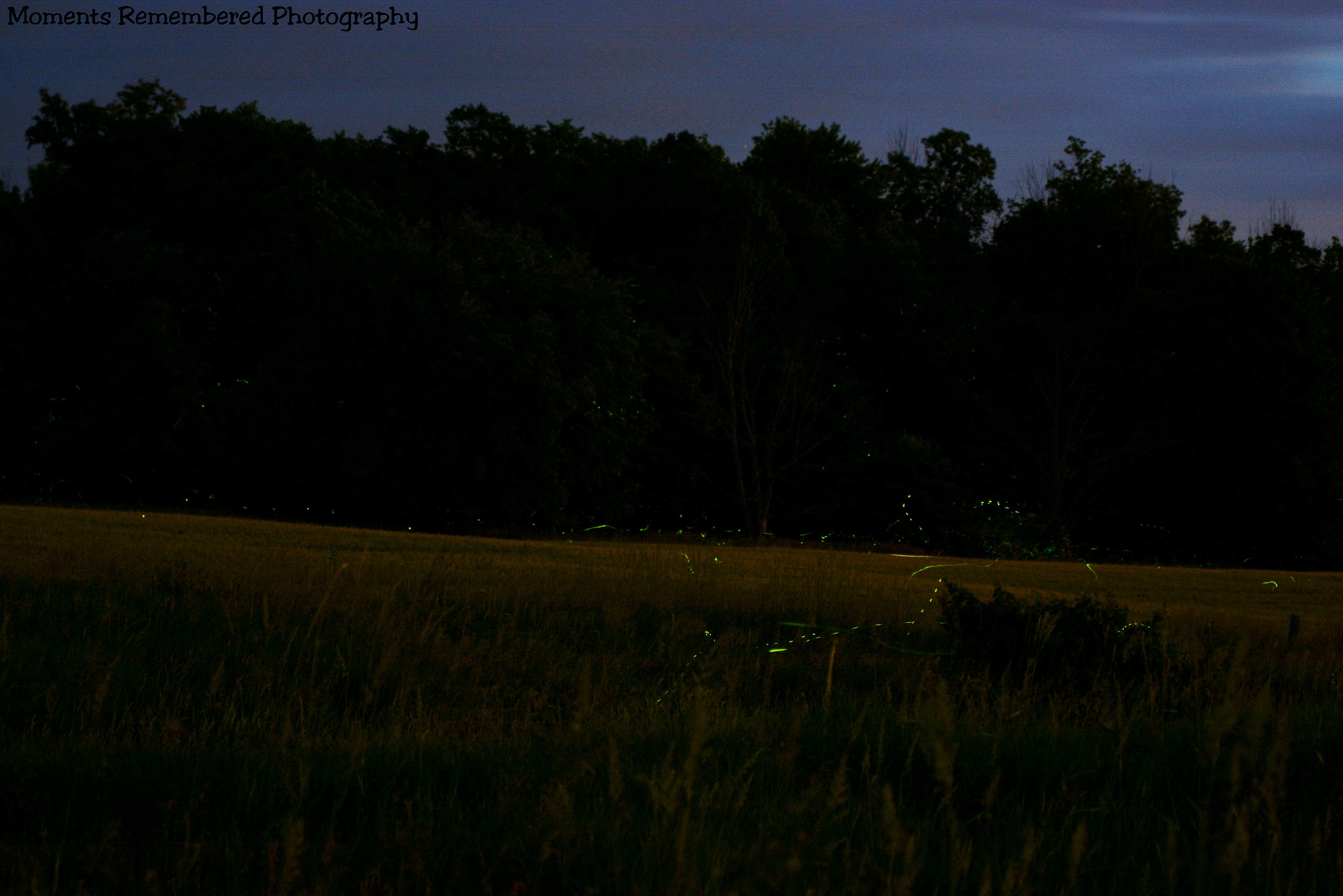 Nikon AF Nikkor 70-300mm F4-5.6G sample photo. Night full of lights photography