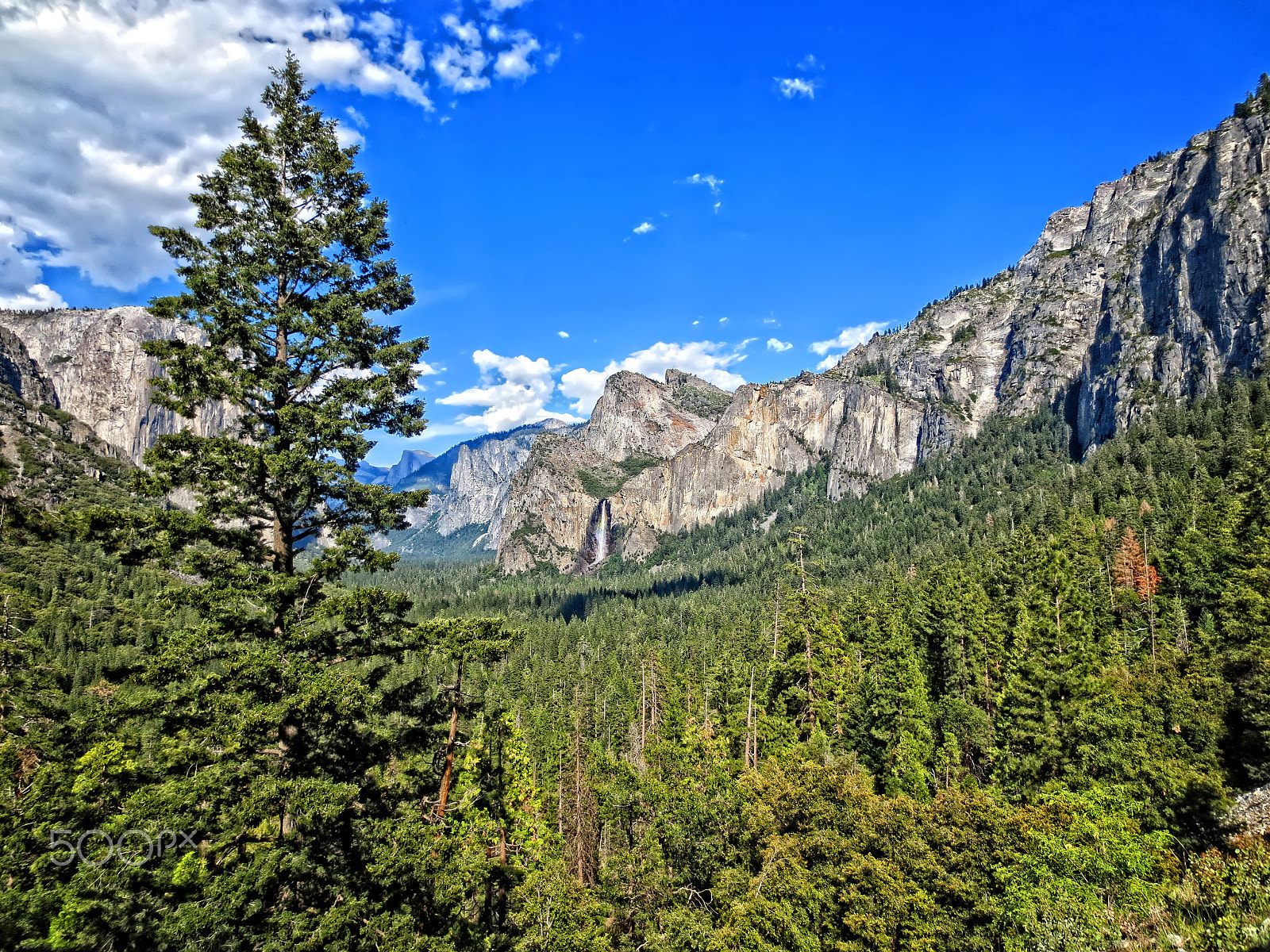 Canon IXUS 240 HS sample photo. Yosemite photography