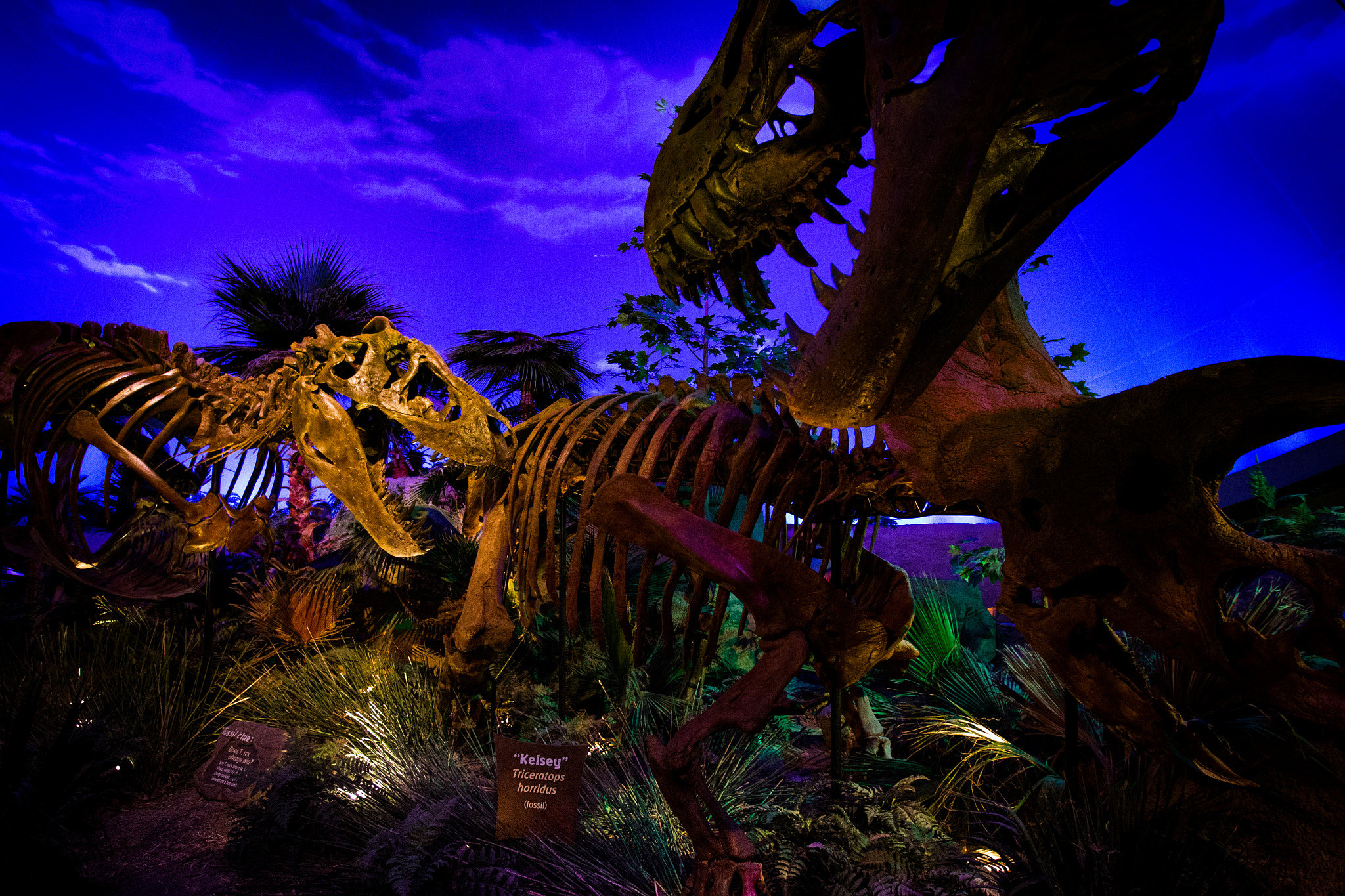 Canon EOS-1D Mark IV sample photo. Dinosaurs photography