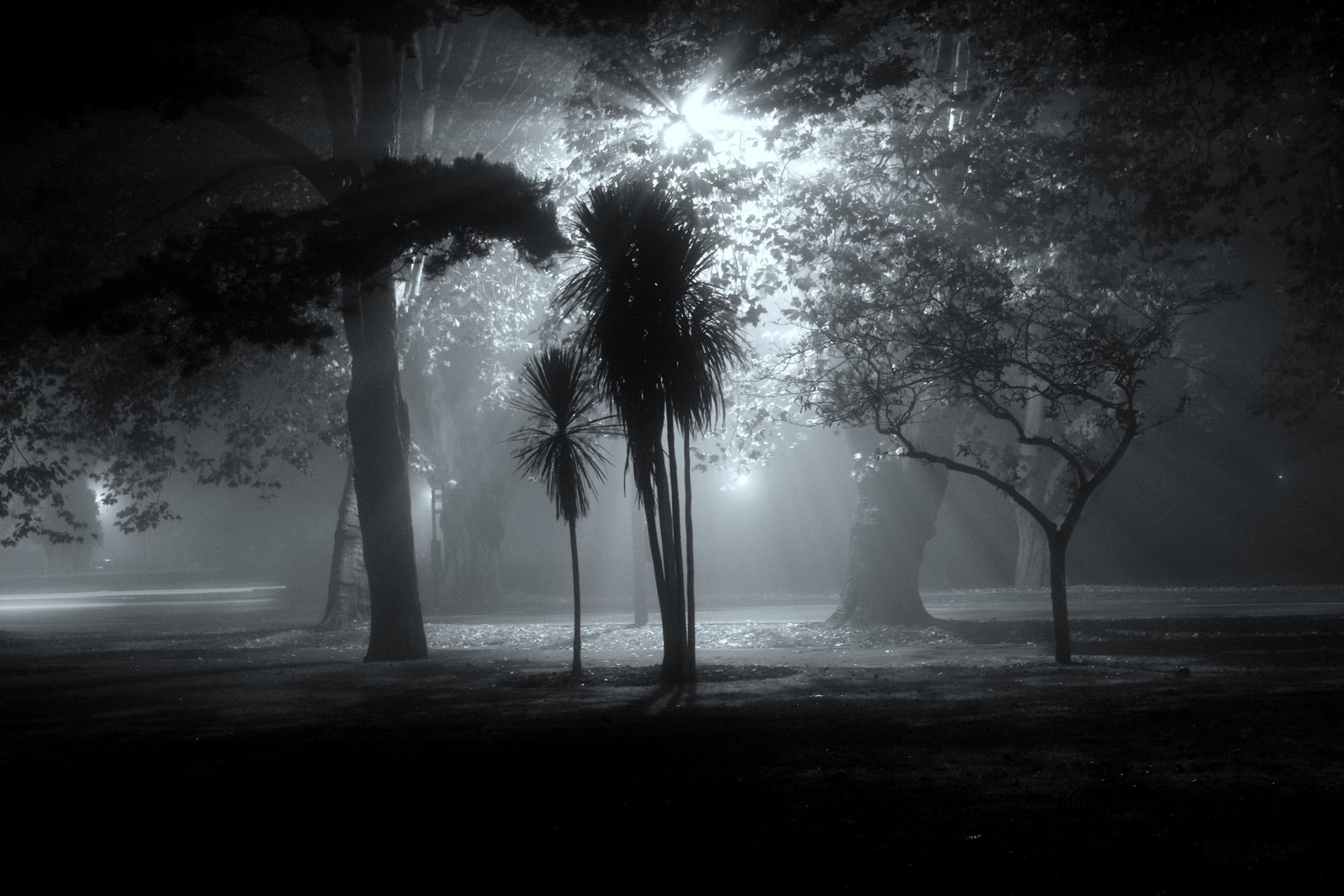 Canon EF-S 18-55mm F3.5-5.6 sample photo. Misty night photography