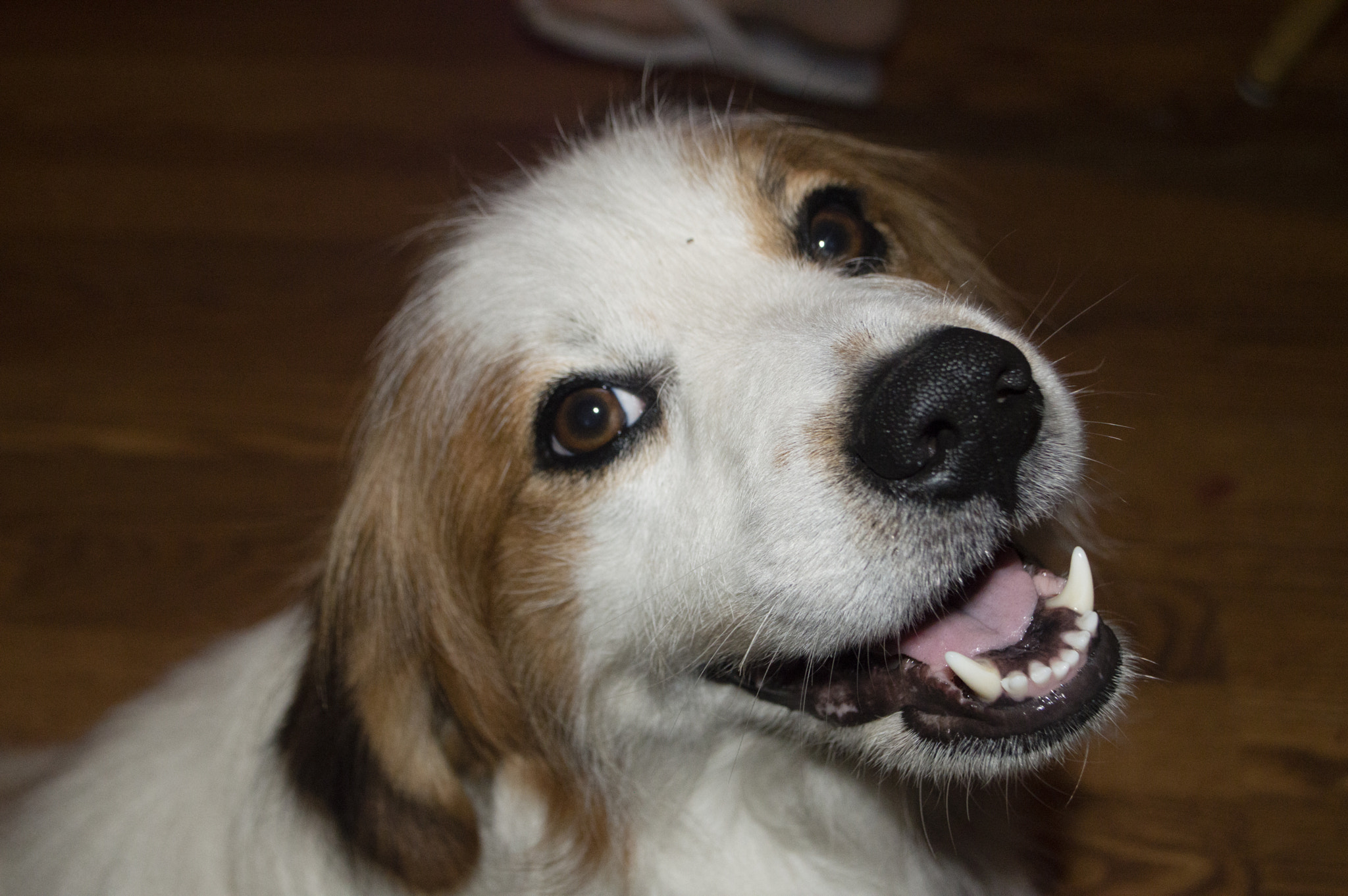 v2?sig=bd167ab0e6f3957f1cf83b7a0c95e31067801a35493c9b43fb8d85bc2fb59989