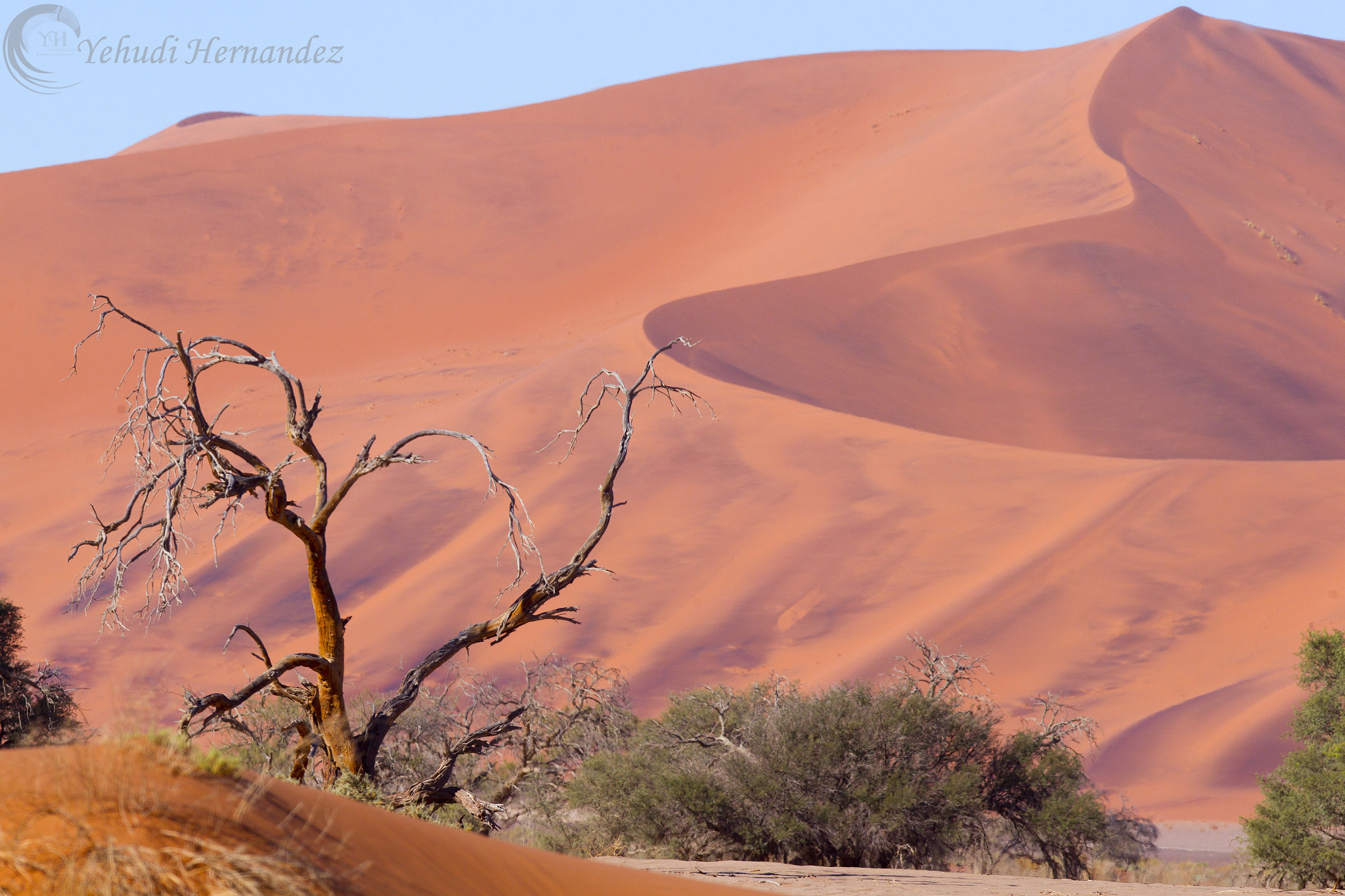 Canon EF 300mm F2.8L IS USM sample photo. Sand dunes photography