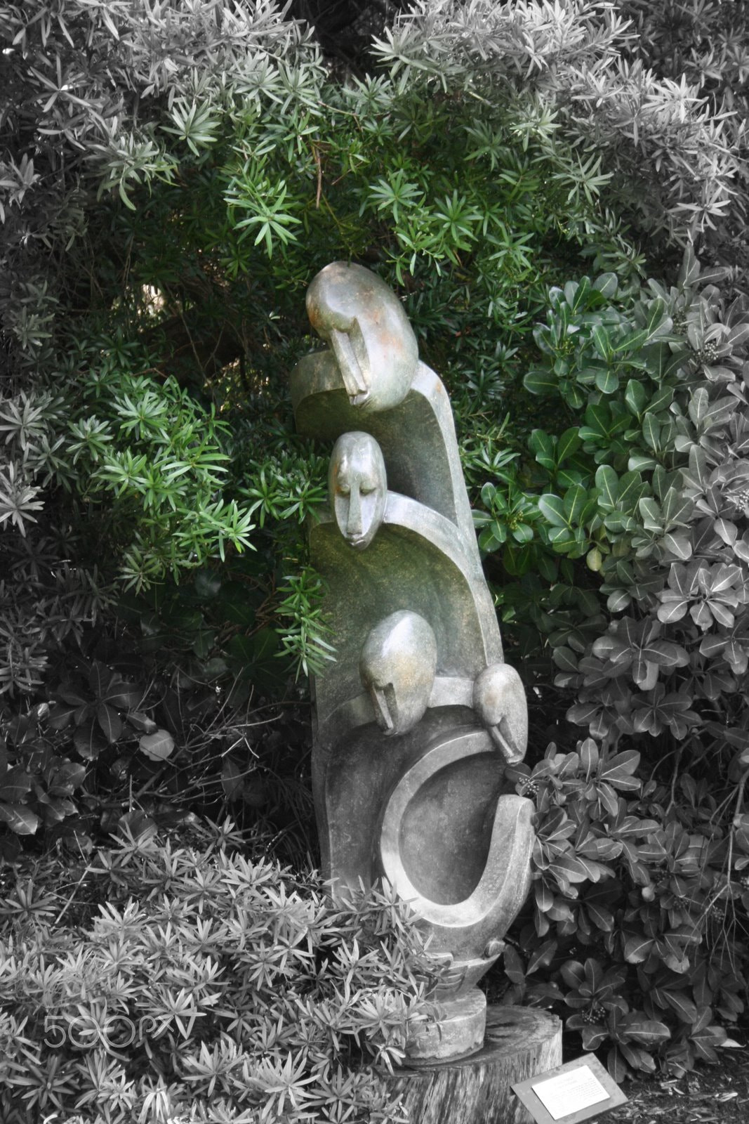 Canon EF-S 18-55mm F3.5-5.6 sample photo. Kirstenbosch gardens photography