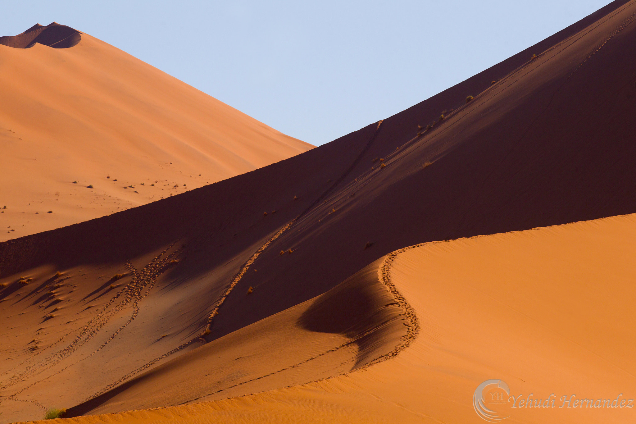 Canon EF 300mm F2.8L IS USM sample photo. Beautiful curves photography