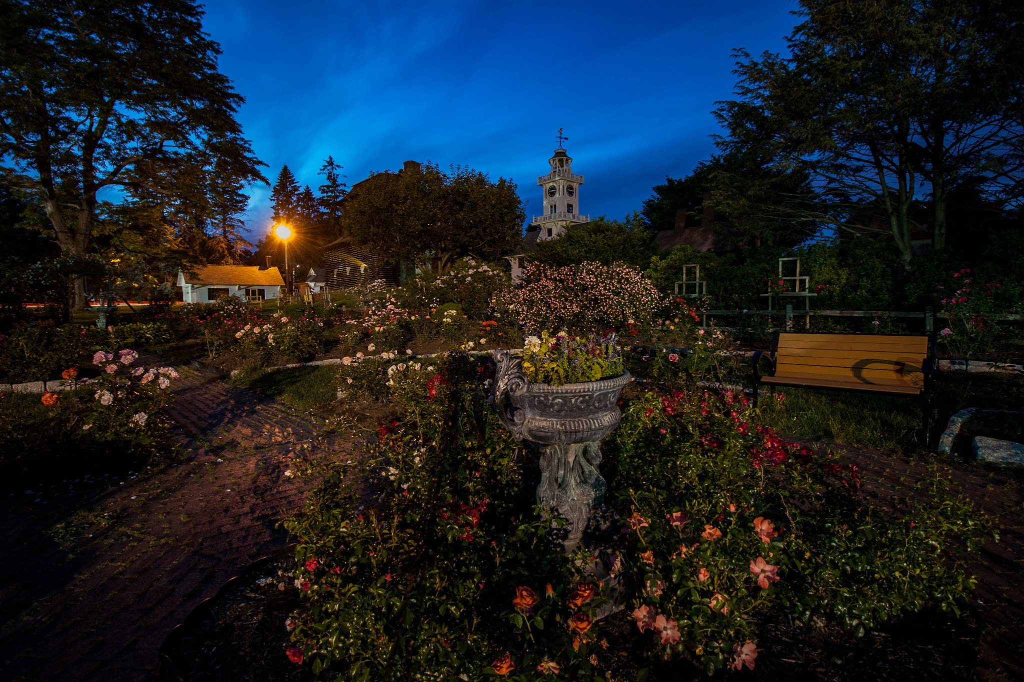 Canon EF-S 10-18mm F4.5–5.6 IS STM sample photo