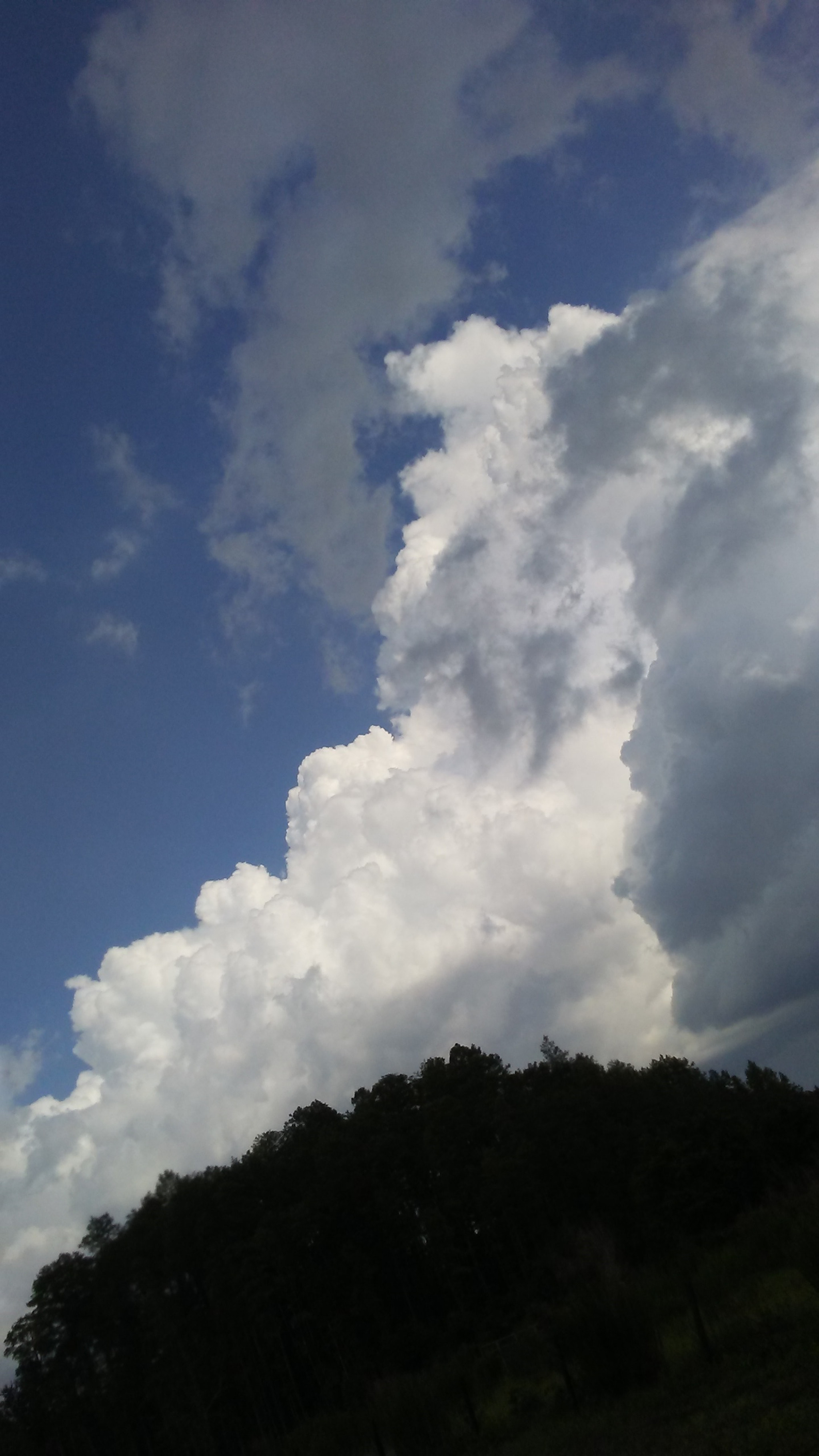 LG M1 sample photo. God spell photography