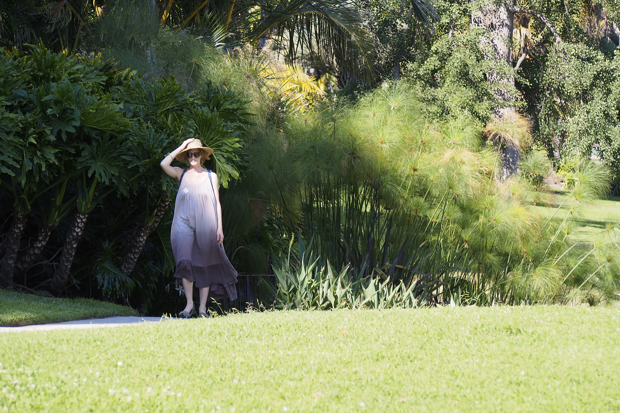 Olympus PEN E-P5 sample photo. Botanical garden, pasadena photography