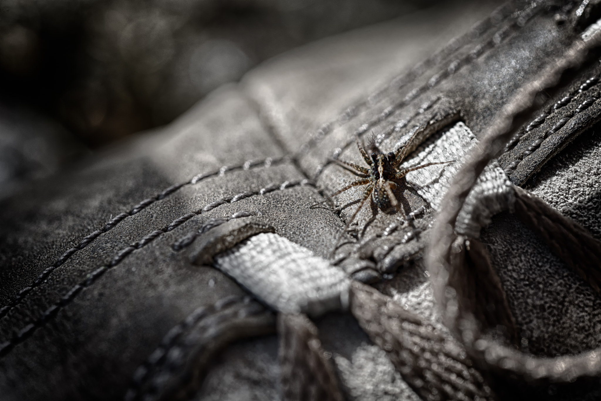 Sigma 150mm F2.8 EX DG OS Macro HSM sample photo. Inspection photography