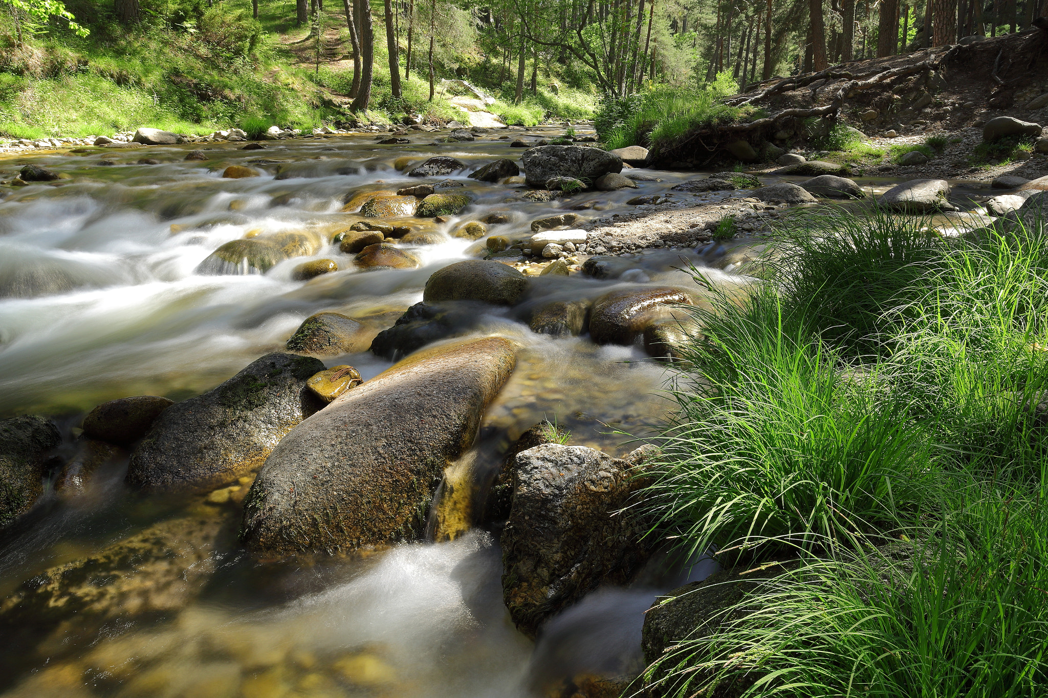 Canon EOS 60D + Canon EF 16-35mm F4L IS USM sample photo. Rio eresma 2 photography