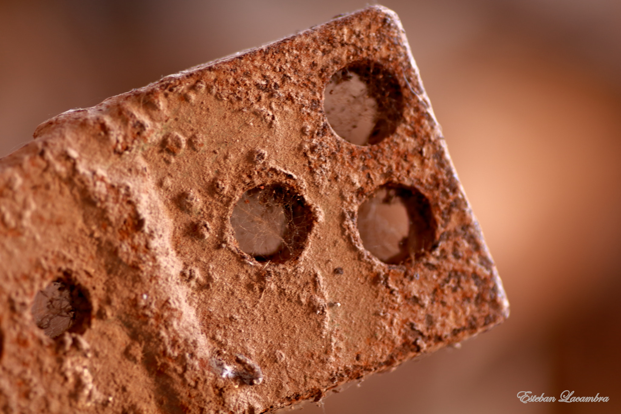 Tamron SP AF 90mm F2.8 Di Macro sample photo. Ferro vell photography