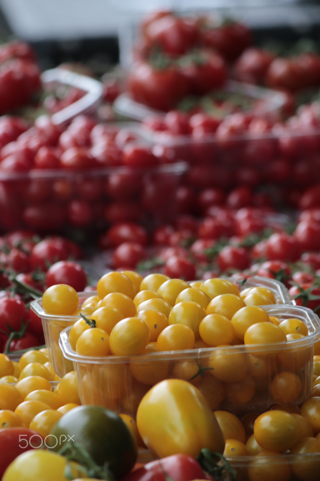 Canon EF-S 55-250mm F4-5.6 IS sample photo. Bright tomatoes photography