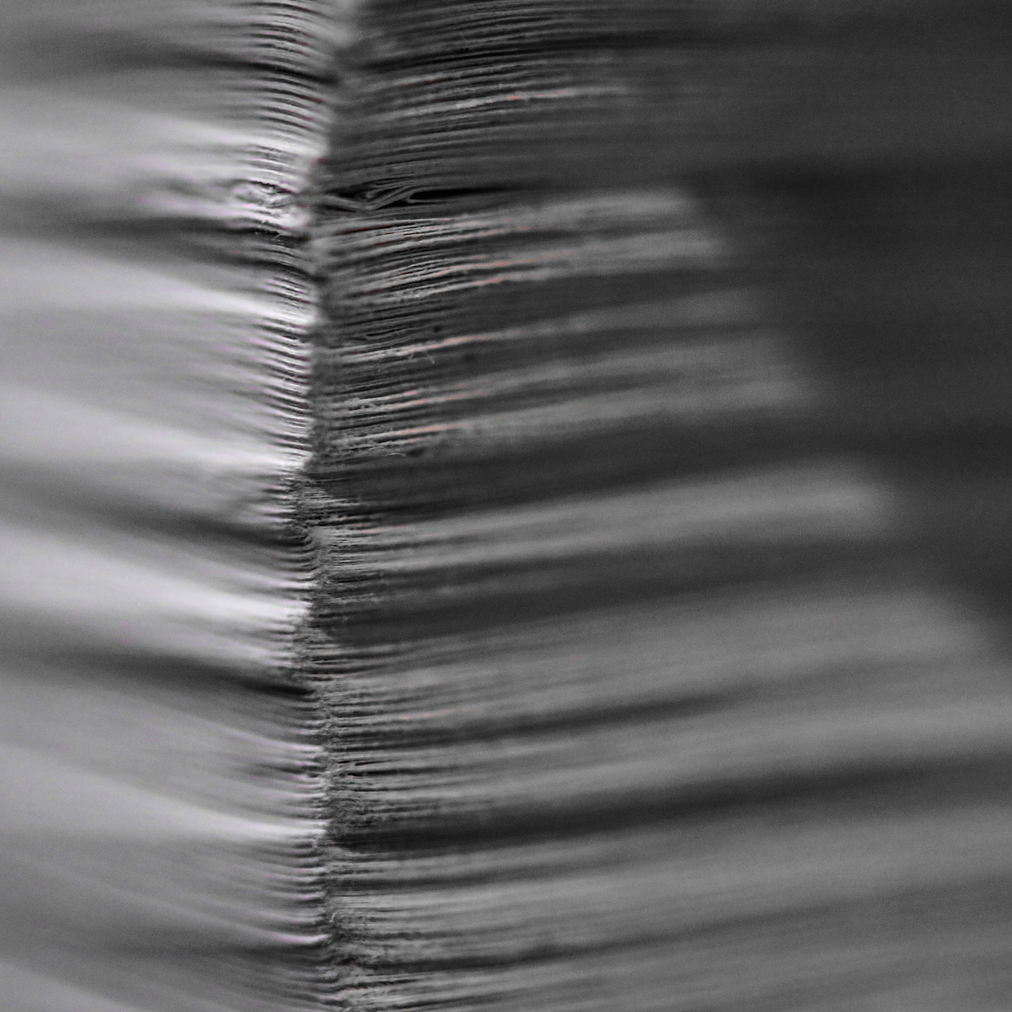 Canon 90mm sample photo. Too much photography
