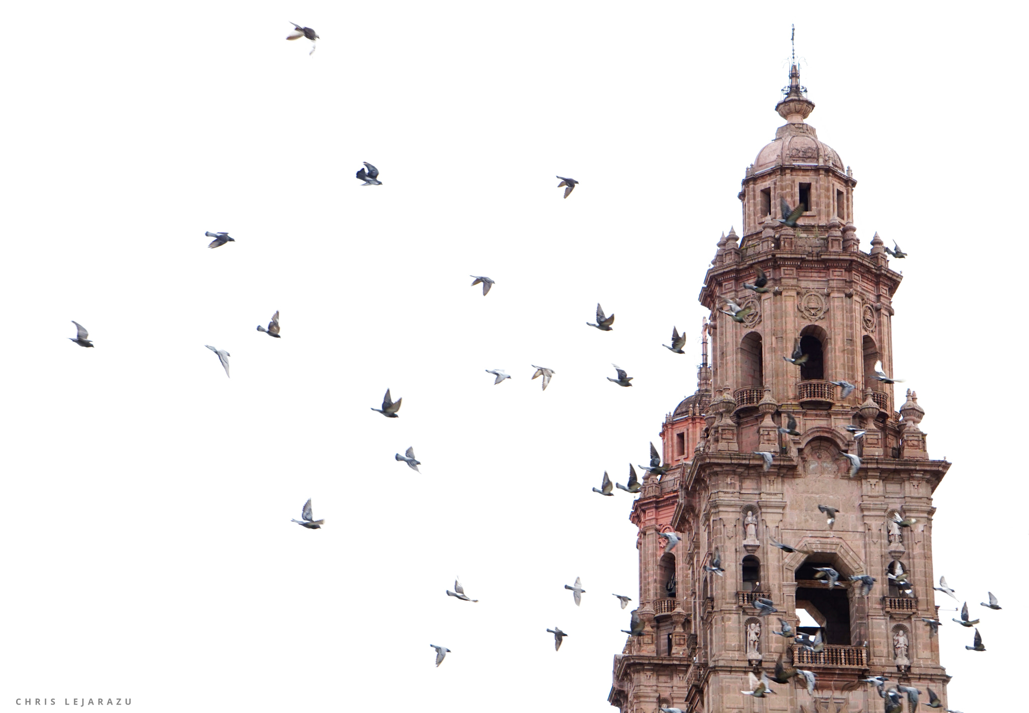 Sony a6000 + Sony Vario Tessar T* FE 24-70mm F4 ZA OSS sample photo. Flying birds. photography