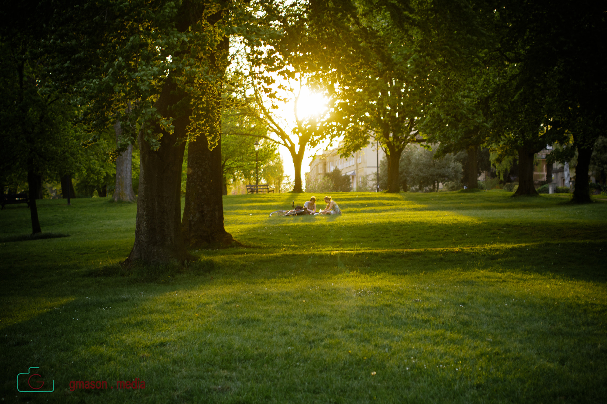 Canon EF 50mm F1.4 USM sample photo. Lazy sunday photography