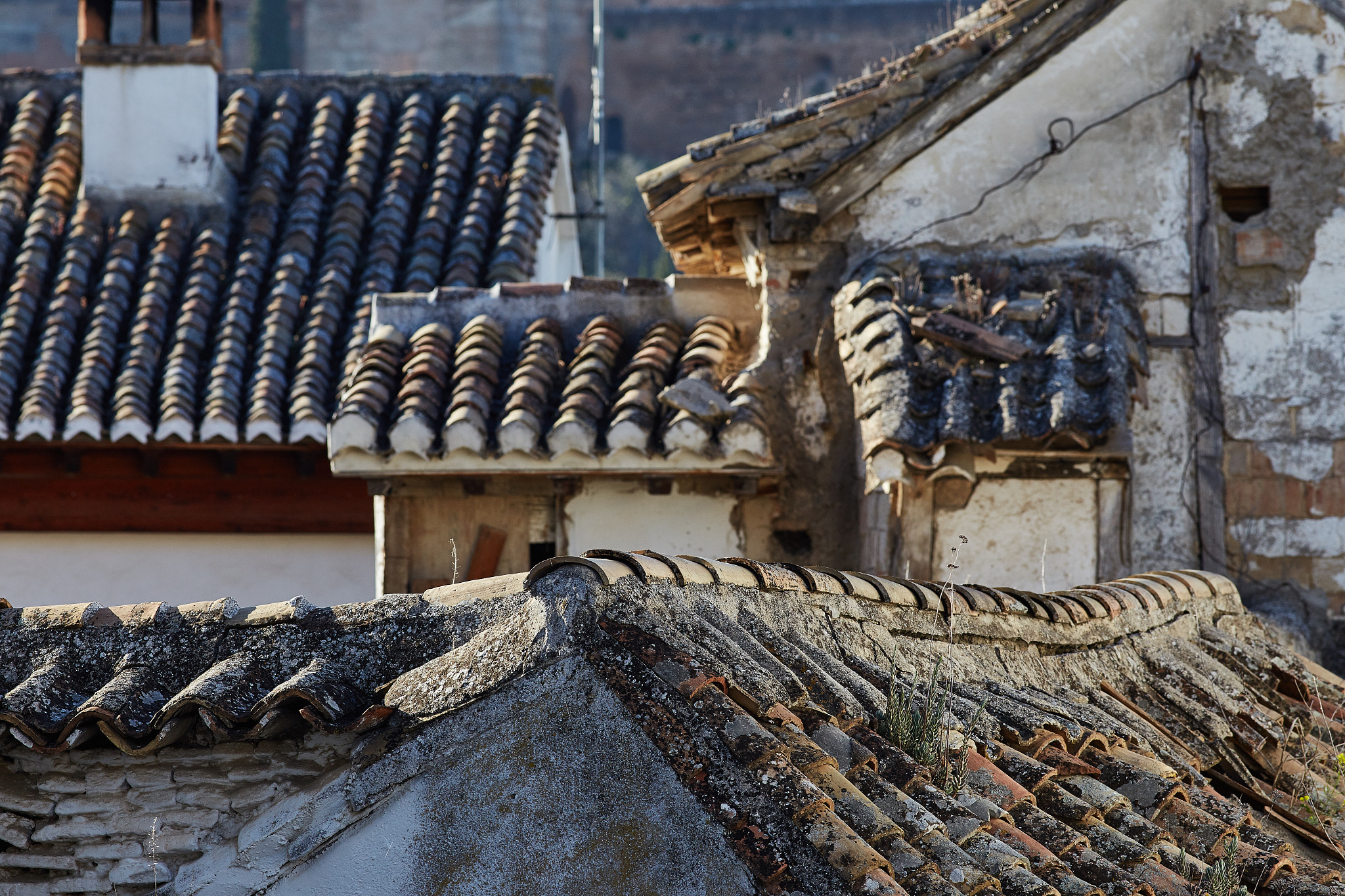 Canon EF 200mm F2.8L II USM sample photo. On the roofs photography