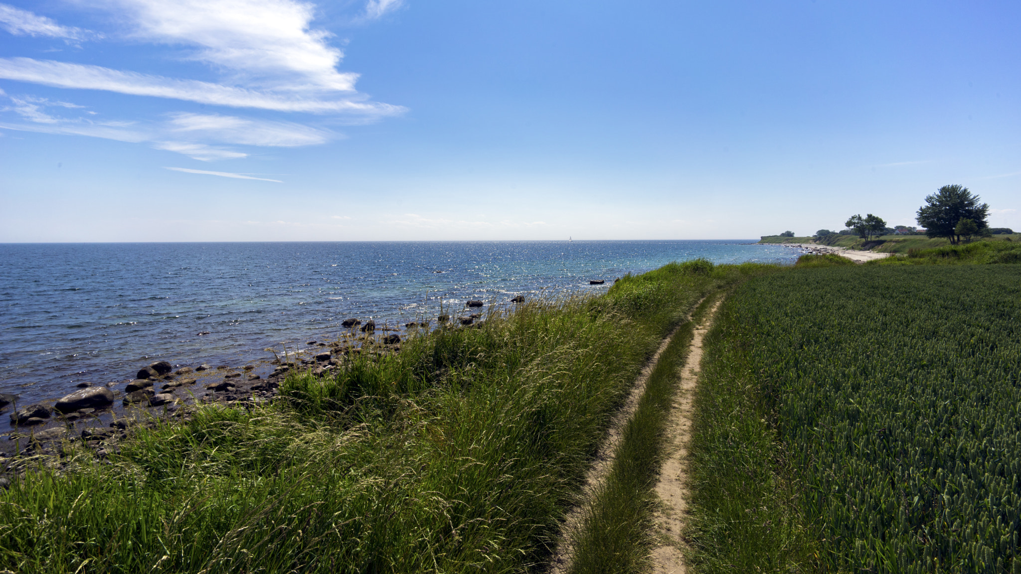 Voigtlander SUPER WIDE-HELIAR 15mm F4.5 III sample photo. Path at the coastline photography