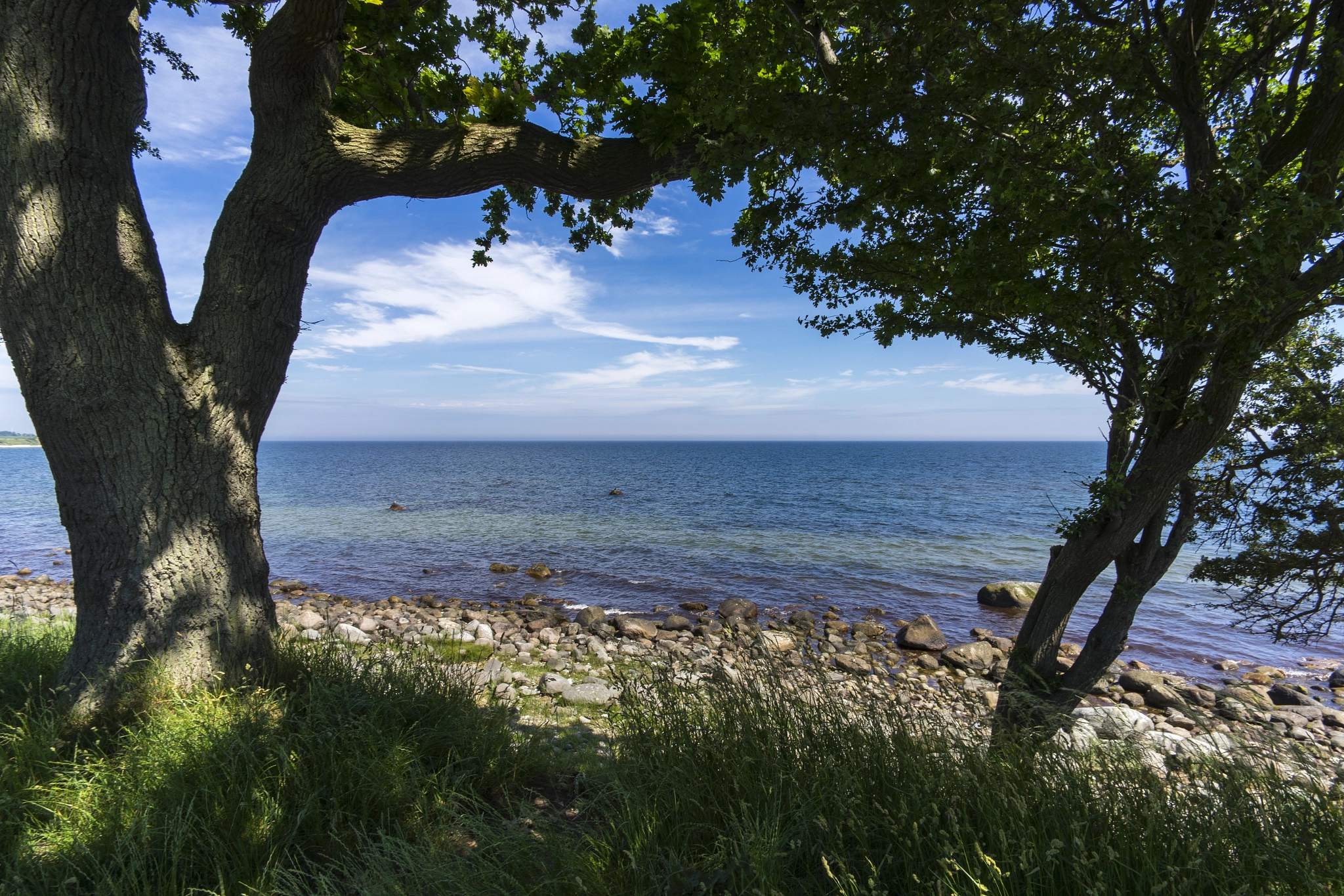 Voigtlander SUPER WIDE-HELIAR 15mm F4.5 III sample photo. Frame of trees photography