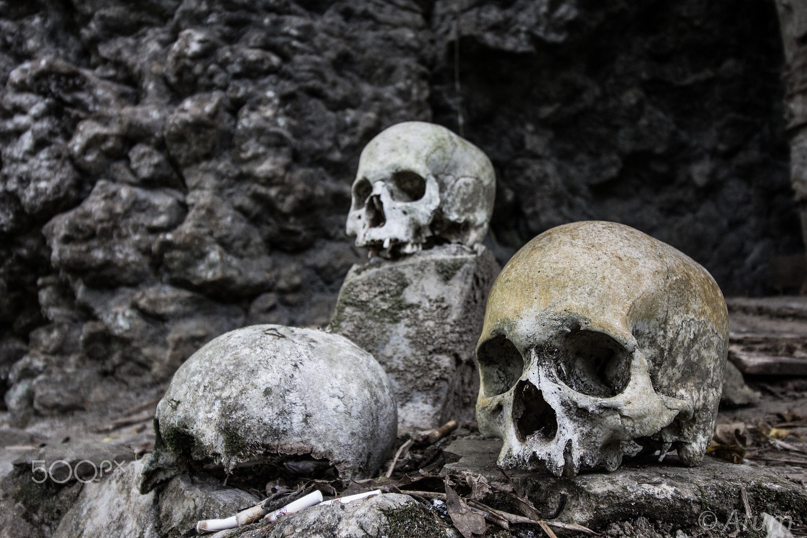 Canon EF-S 10-18mm F4.5–5.6 IS STM sample photo. Skull in tana toraja photography