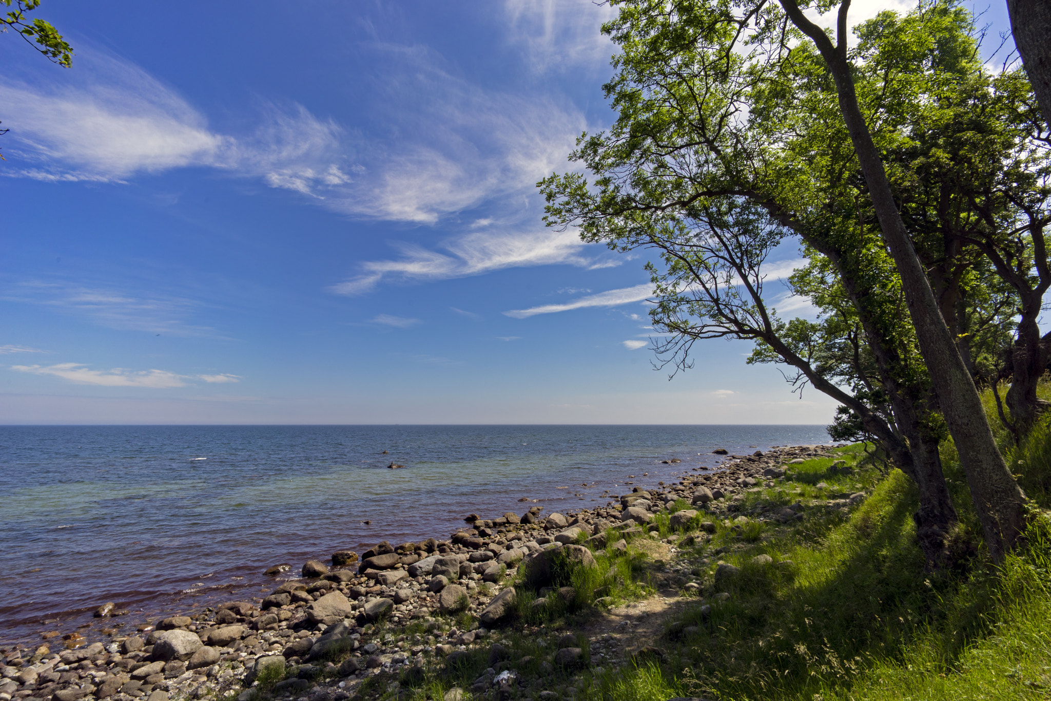 Voigtlander SUPER WIDE-HELIAR 15mm F4.5 III sample photo. Green coast photography