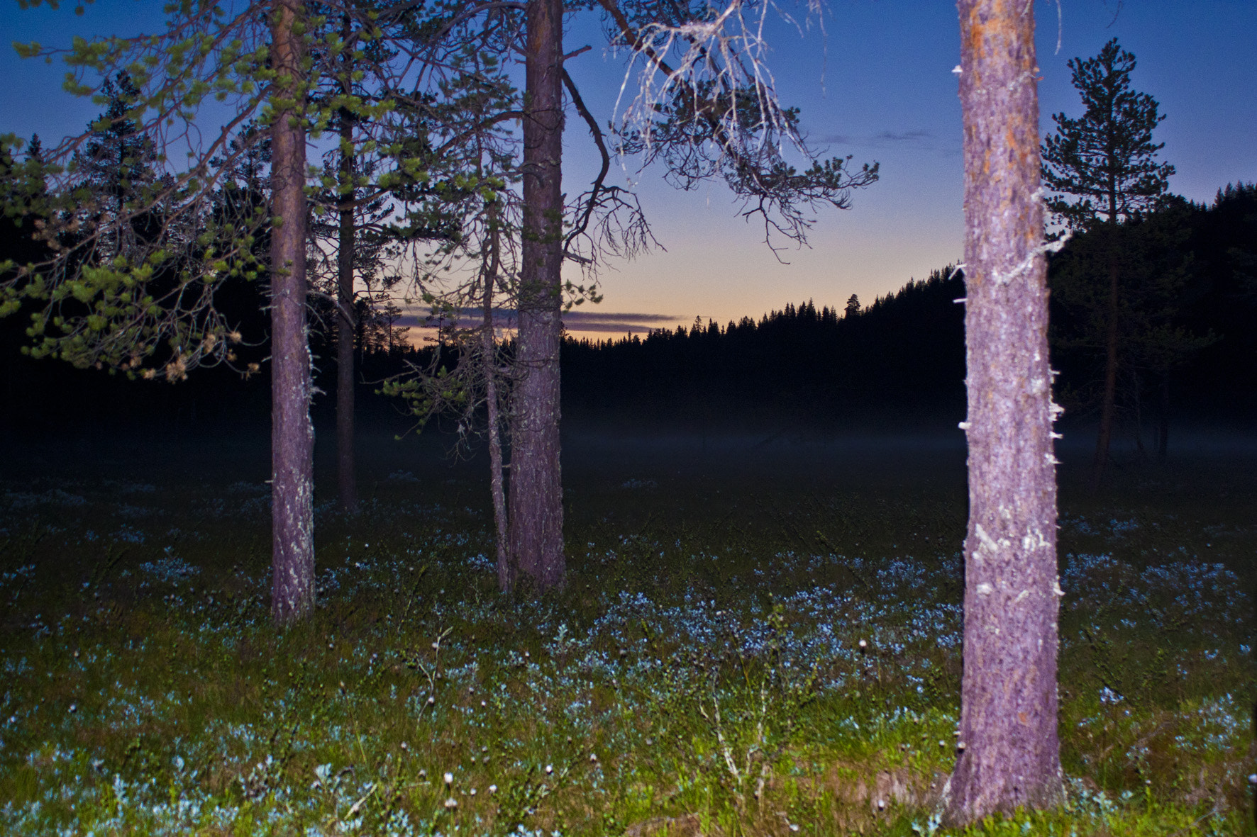 Canon EF 28-80mm f/3.5-5.6 USM IV sample photo. Landscape photography