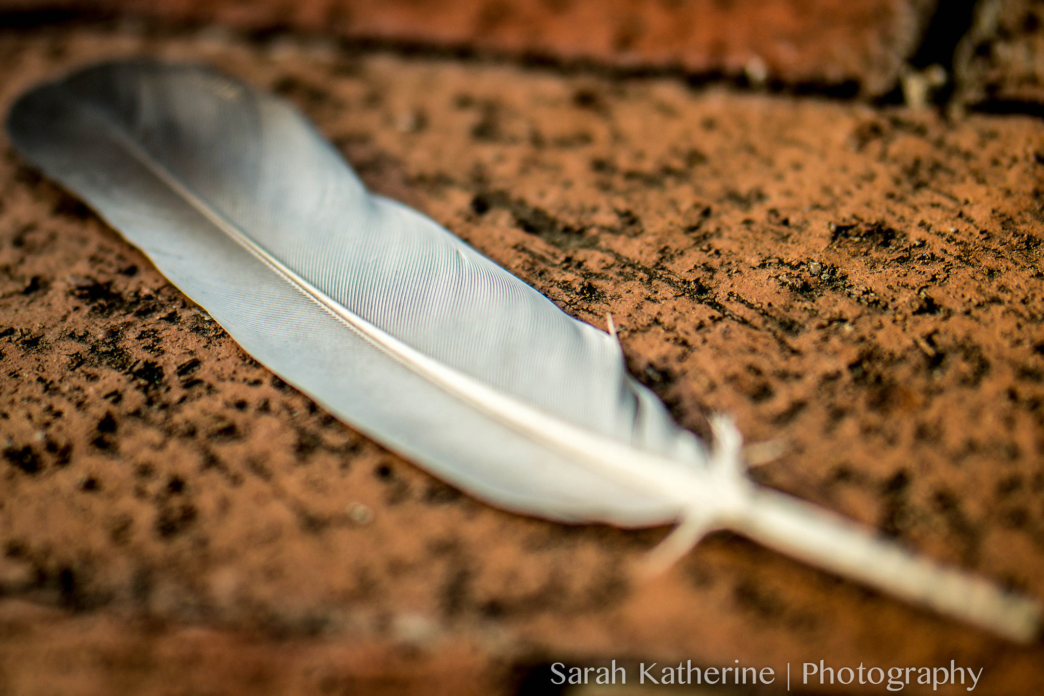 Samsung NX300 + Samsung NX 60mm F2.8 Macro ED OIS SSA sample photo