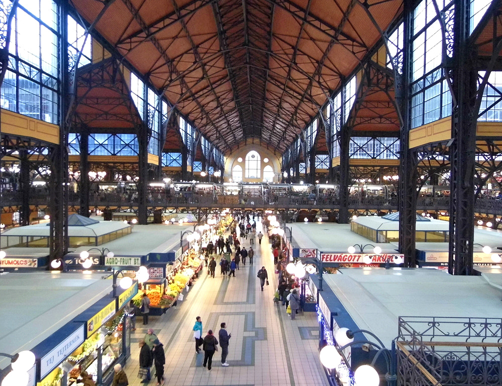 Panasonic Lumix DMC-LZ30 sample photo. The great market hall photography