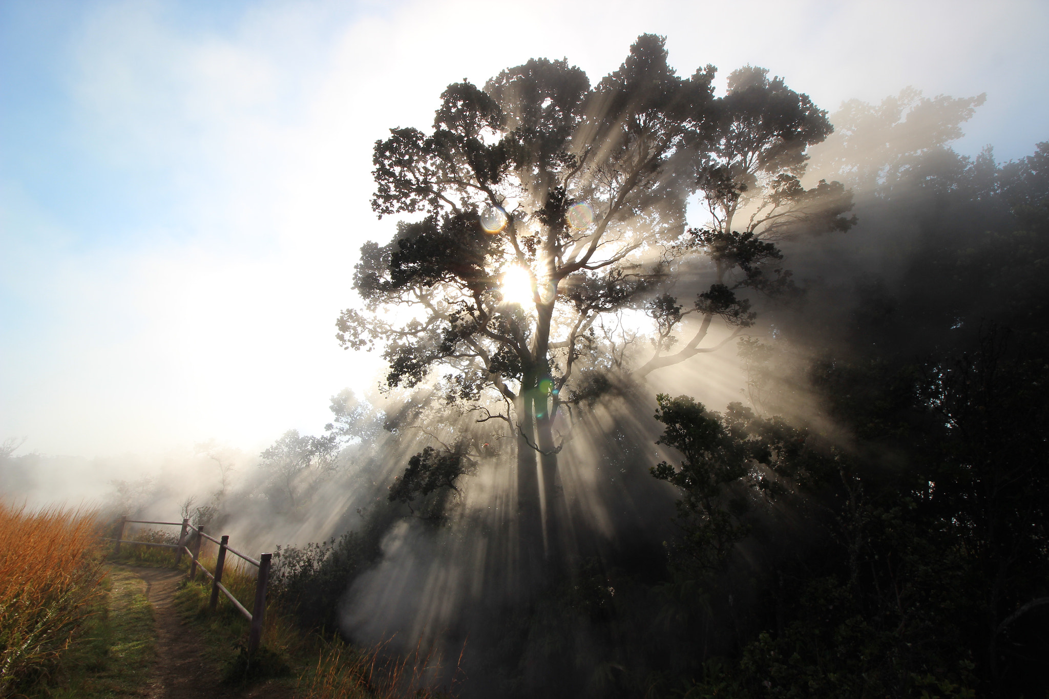 Canon EF-S 10-18mm F4.5–5.6 IS STM sample photo. @zacharyjking second submission to destination usa ... photography
