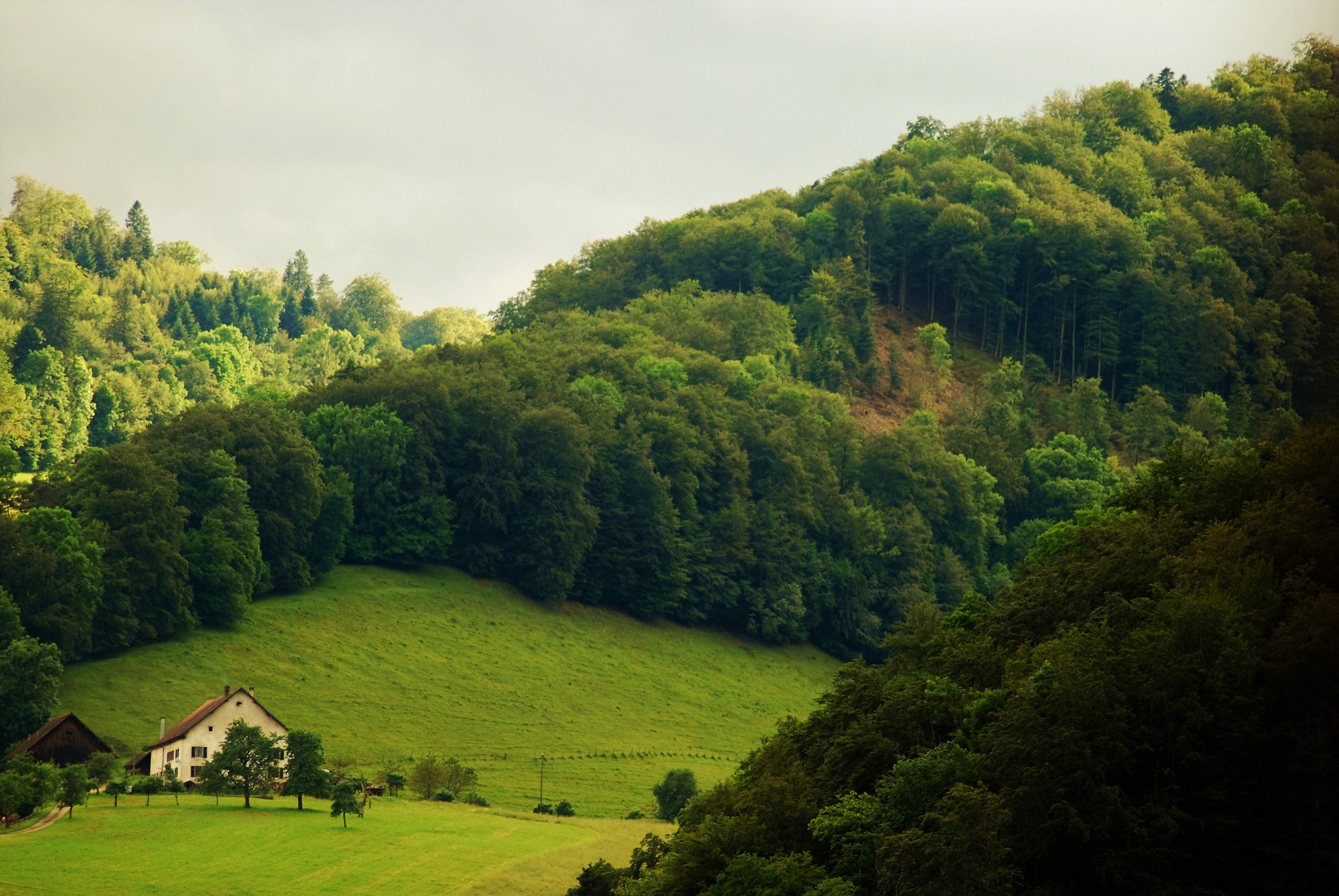 Nikon D40X sample photo. Mountains of jura photography
