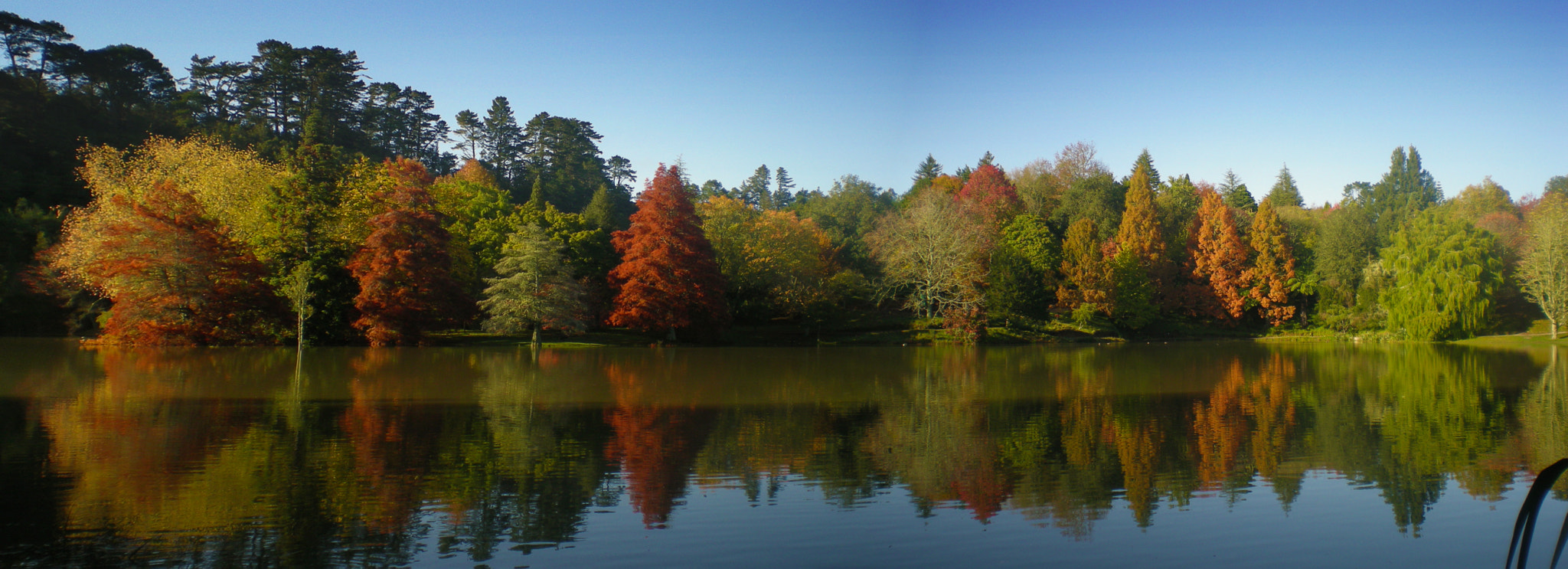 Nikon COOLPIX S200 sample photo. Mclarens park in the autumn photography