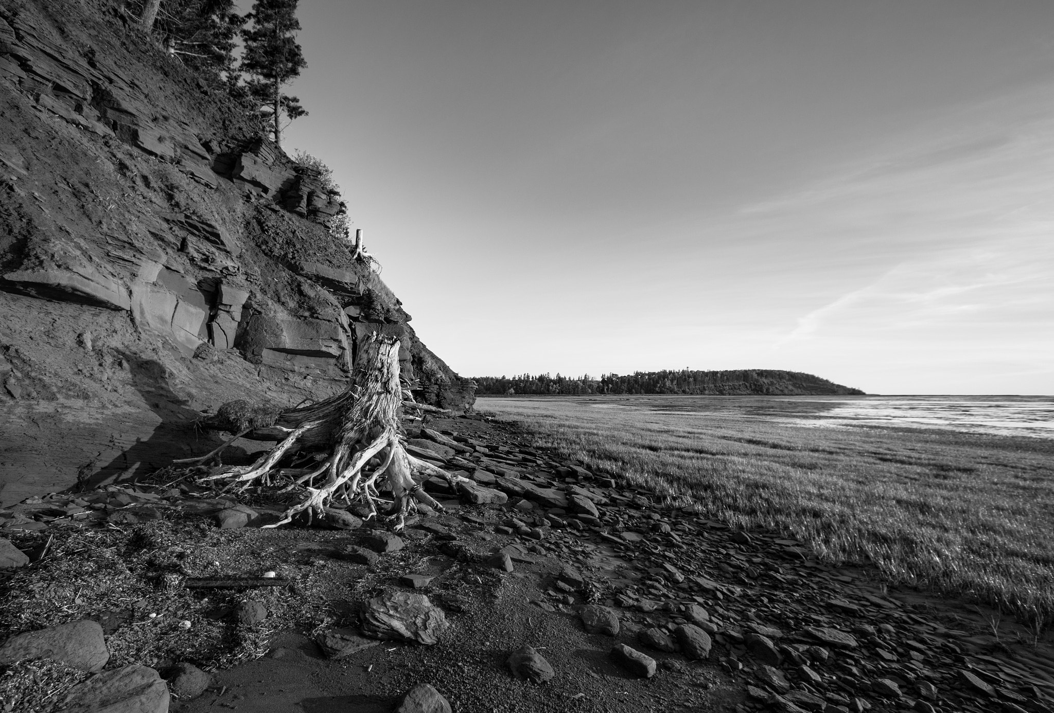 Canon EF-S 10-22mm F3.5-4.5 USM sample photo. Uprooted photography