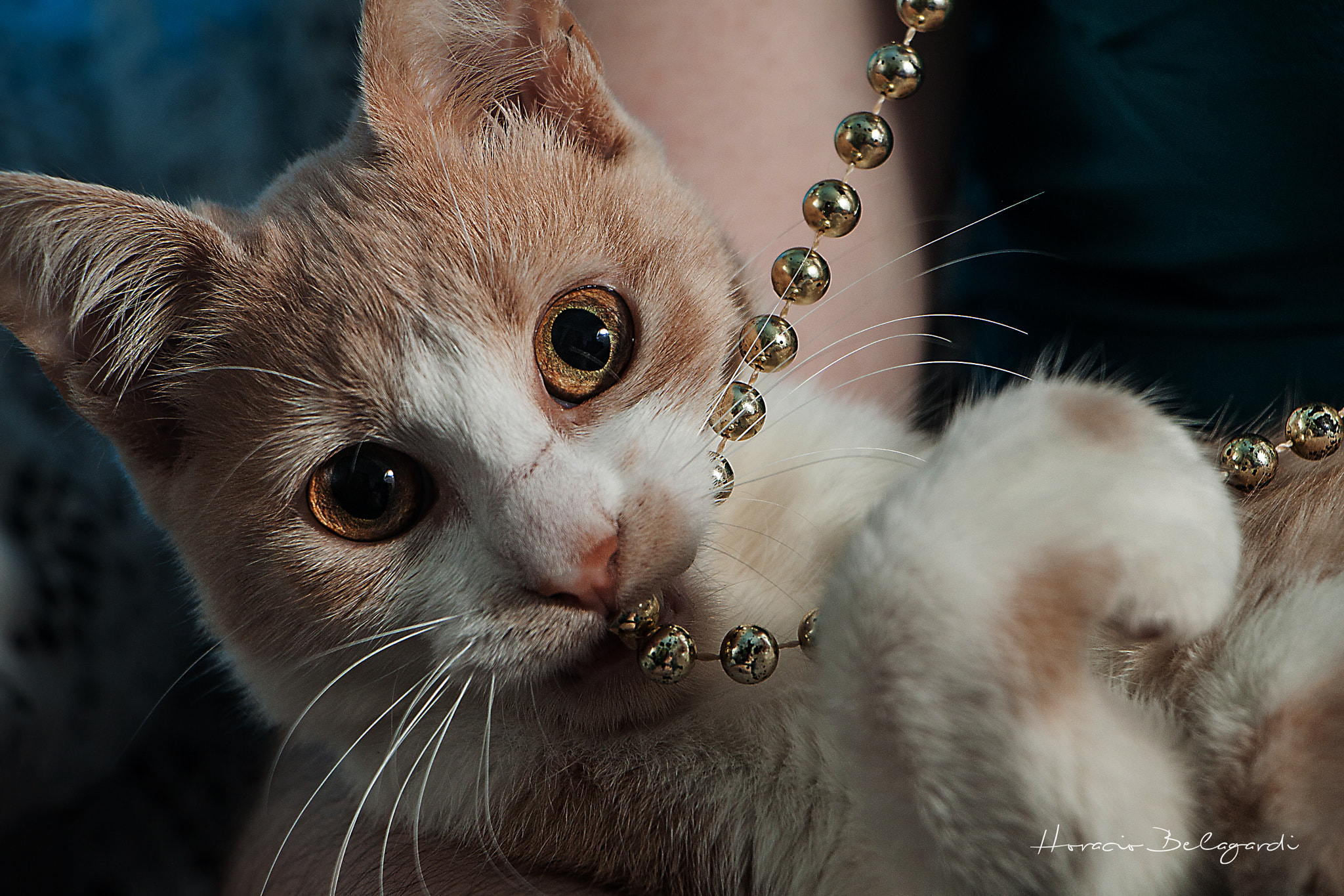 Canon EOS 500D (EOS Rebel T1i / EOS Kiss X3) sample photo. Minina photography