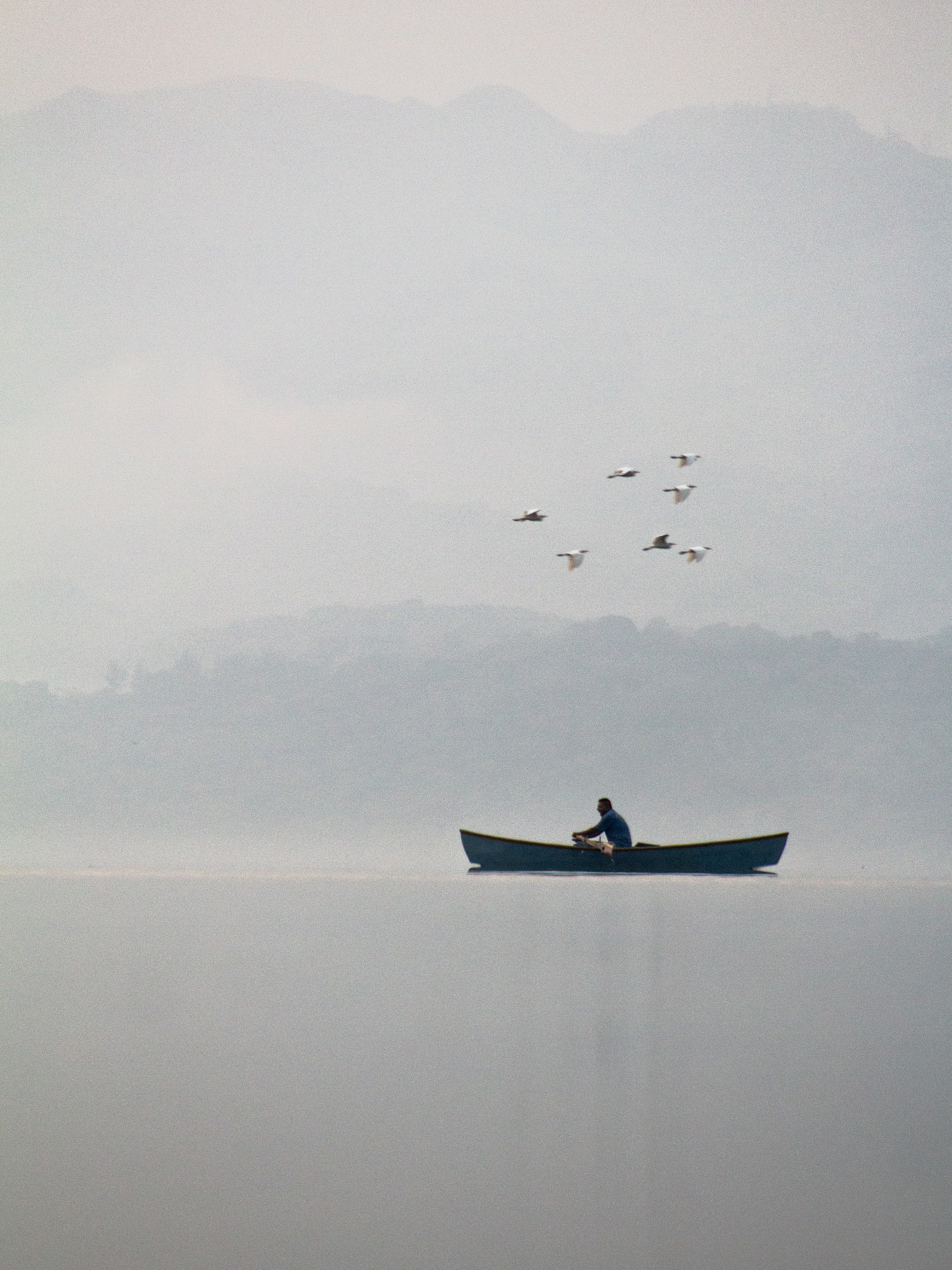 Canon EF 75-300mm f/4-5.6 USM sample photo. With the company of bird photography