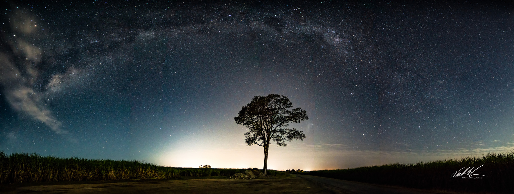 Sony ILCA-77M2 sample photo. The lonely tree photography