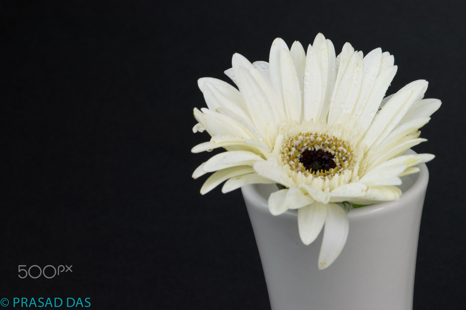 Nikon AF-S Micro-Nikkor 105mm F2.8G IF-ED VR sample photo. Colourful flowers in bloom photography