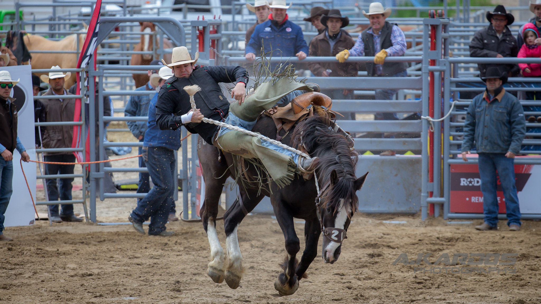 Canon EOS 700D (EOS Rebel T5i / EOS Kiss X7i) + Canon EF 70-200mm F4L USM sample photo. Wild horse 4 - rodéo fest de val saint-côme 2016 photography