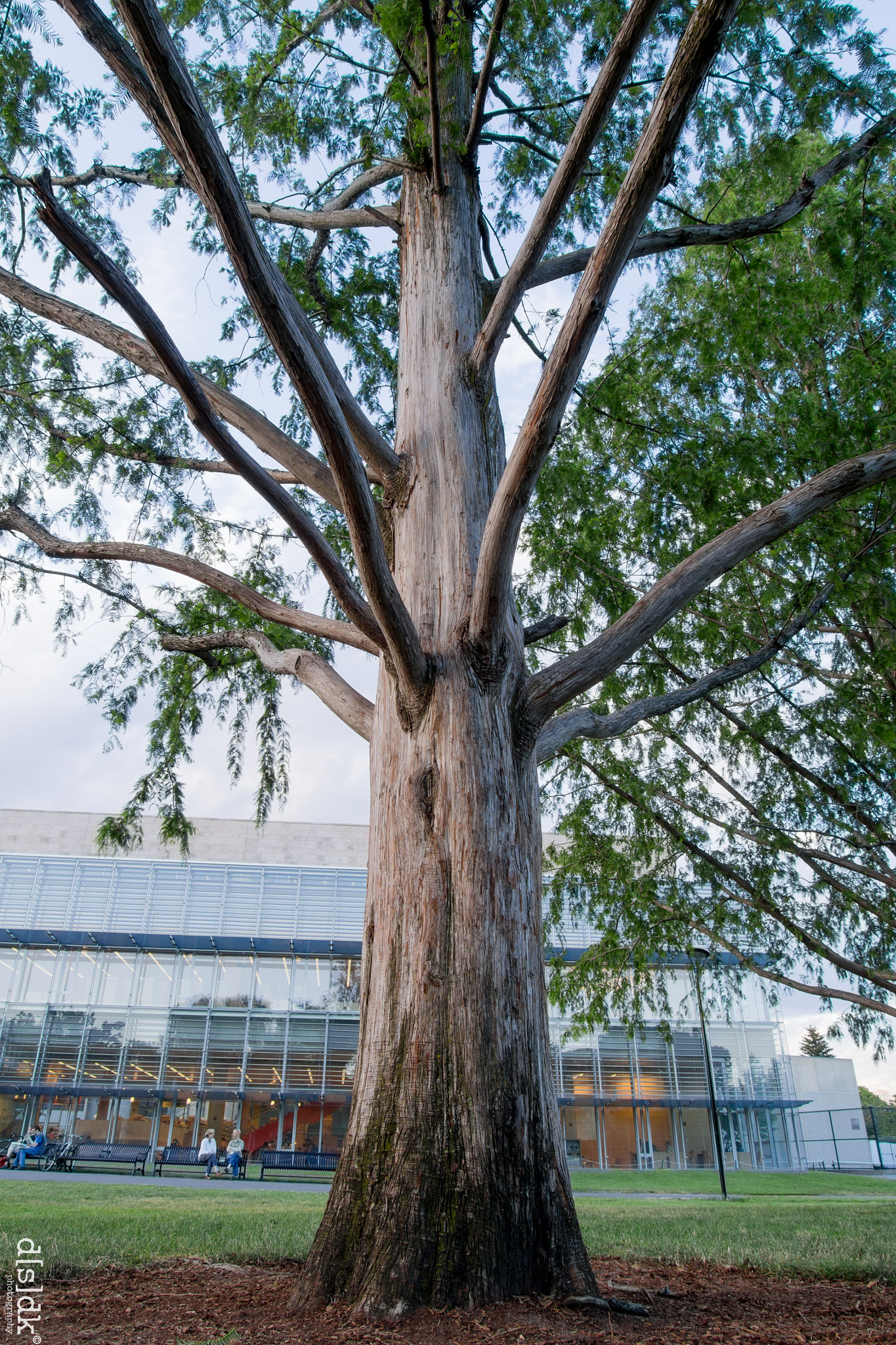 OLYMPUS 11-22mm Lens sample photo