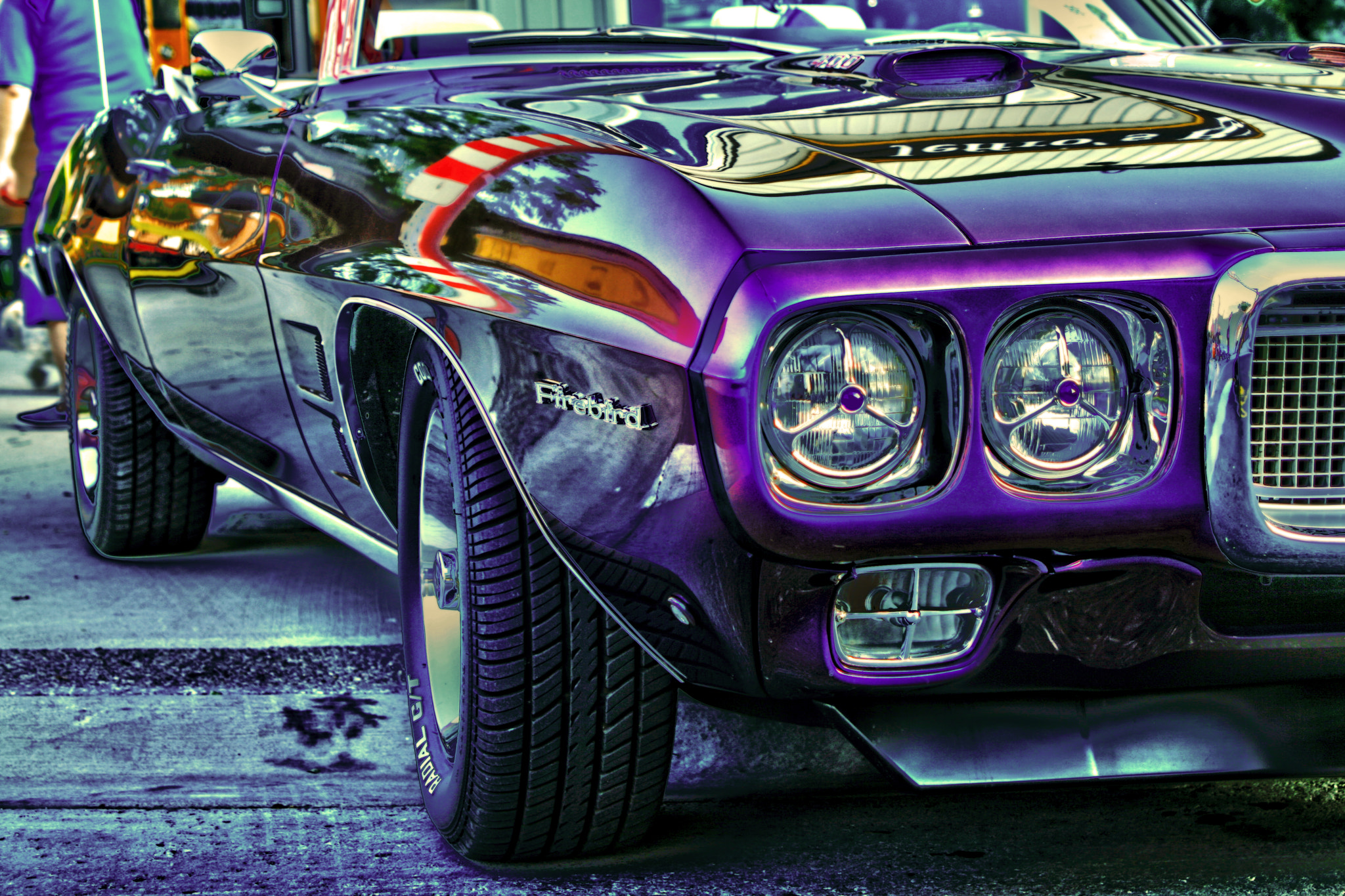 Canon EF 28-105mm f/3.5-4.5 USM sample photo. Purple firebird photography