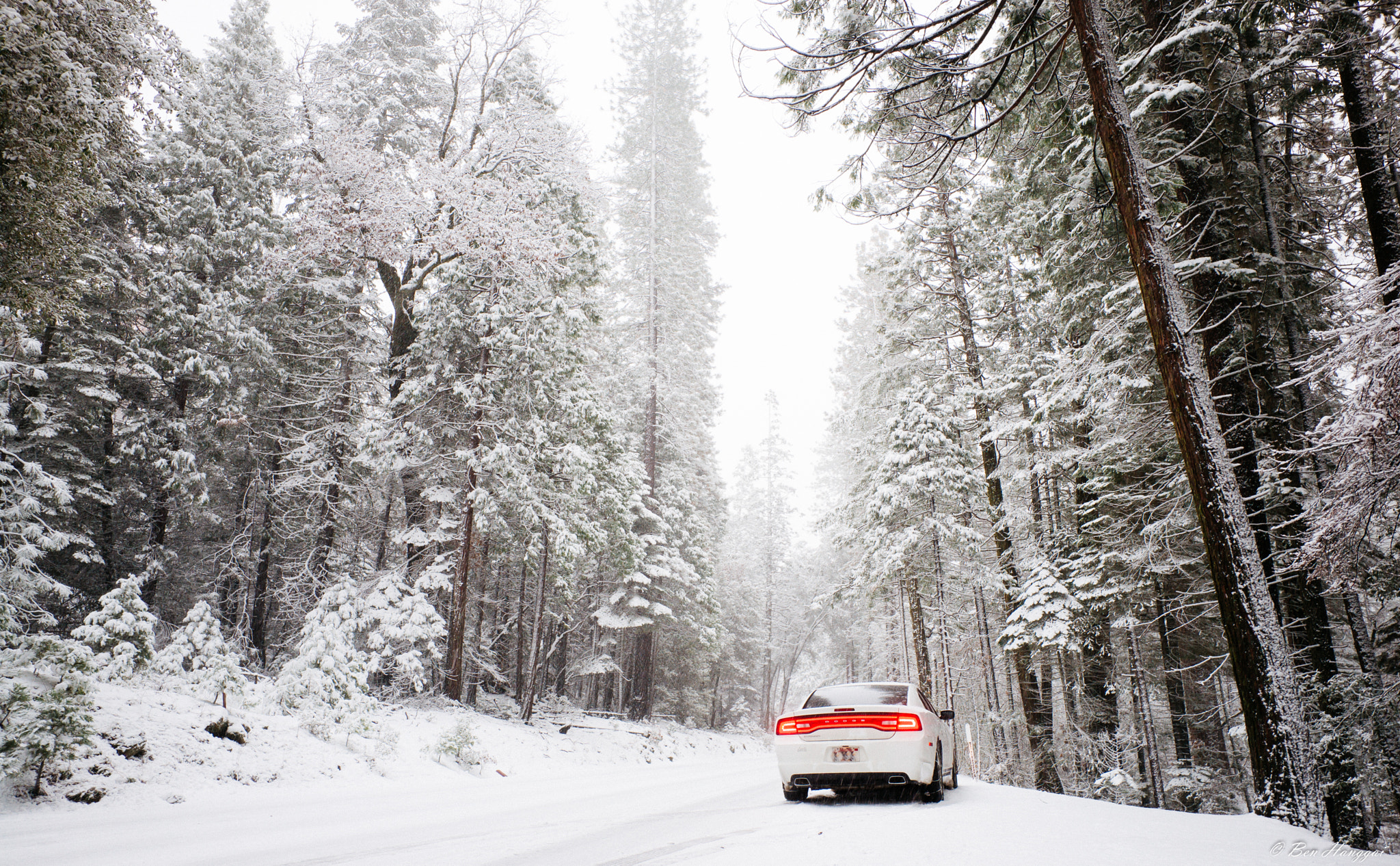 Elmarit-M 1:2.8/21 sample photo. Snowing yosemite photography