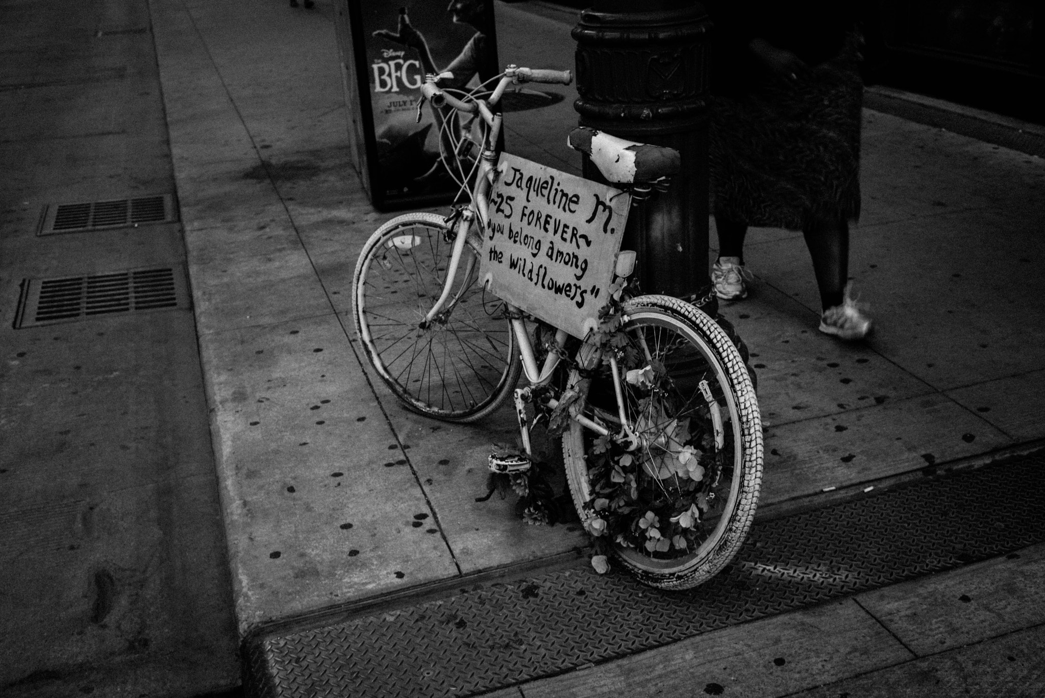 Summicron 1:2/50 Leitz sample photo. L1001386.jpg photography