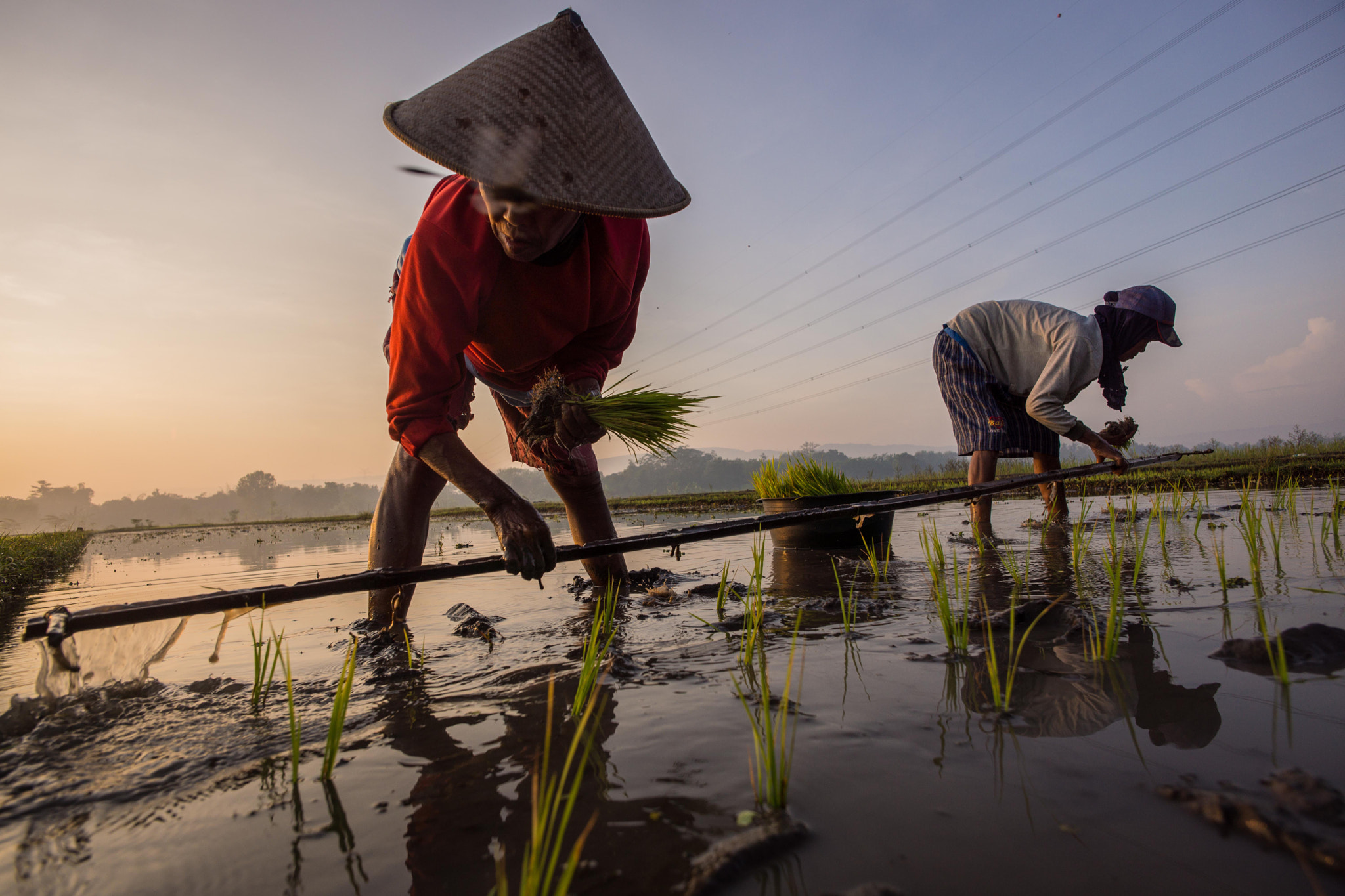 Sony Alpha NEX-7 + ZEISS Touit 12mm F2.8 sample photo. Indonesian farmers photography